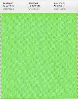 91yl1WgiO2L._AC_UF350,