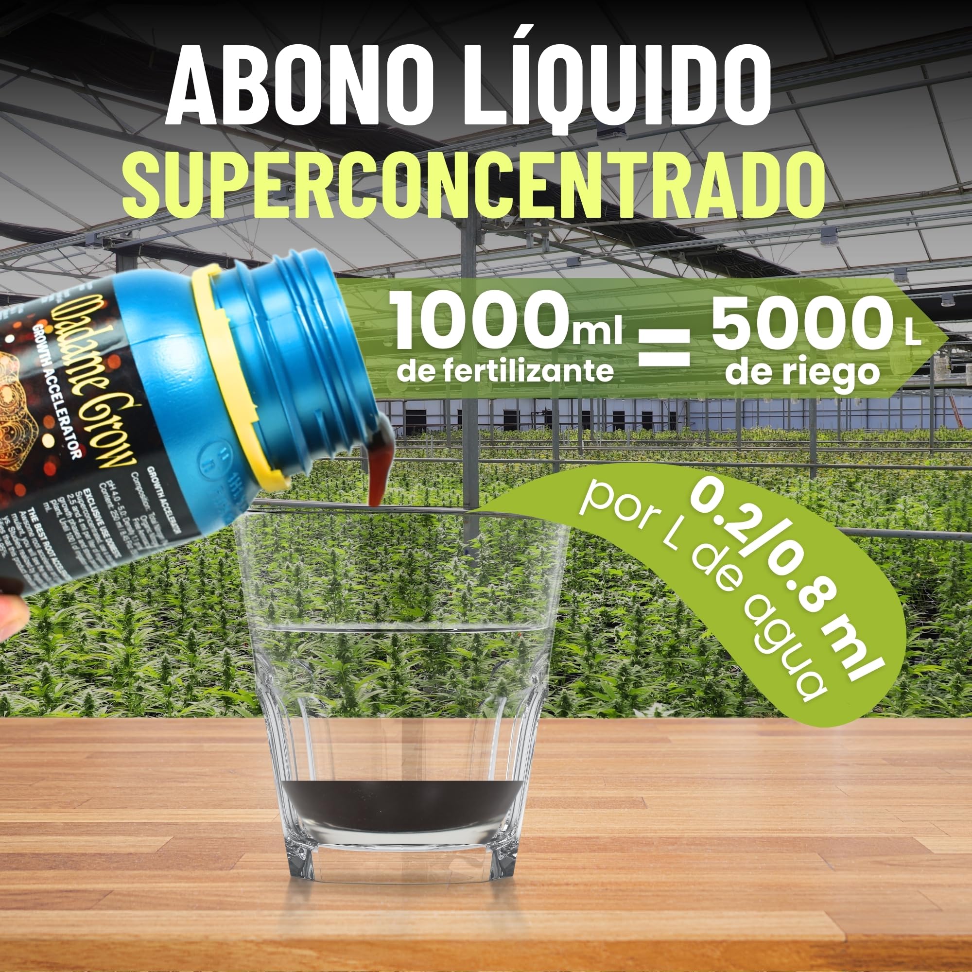 MADAME GROW Growth Accelerator 1 Litro | Enraizante Orgánico y Abono Crecimiento 2 en 1 | Estimulador de Raíces Blancas | Fertilizante Crecimiento para Esquejes y Trasplantes