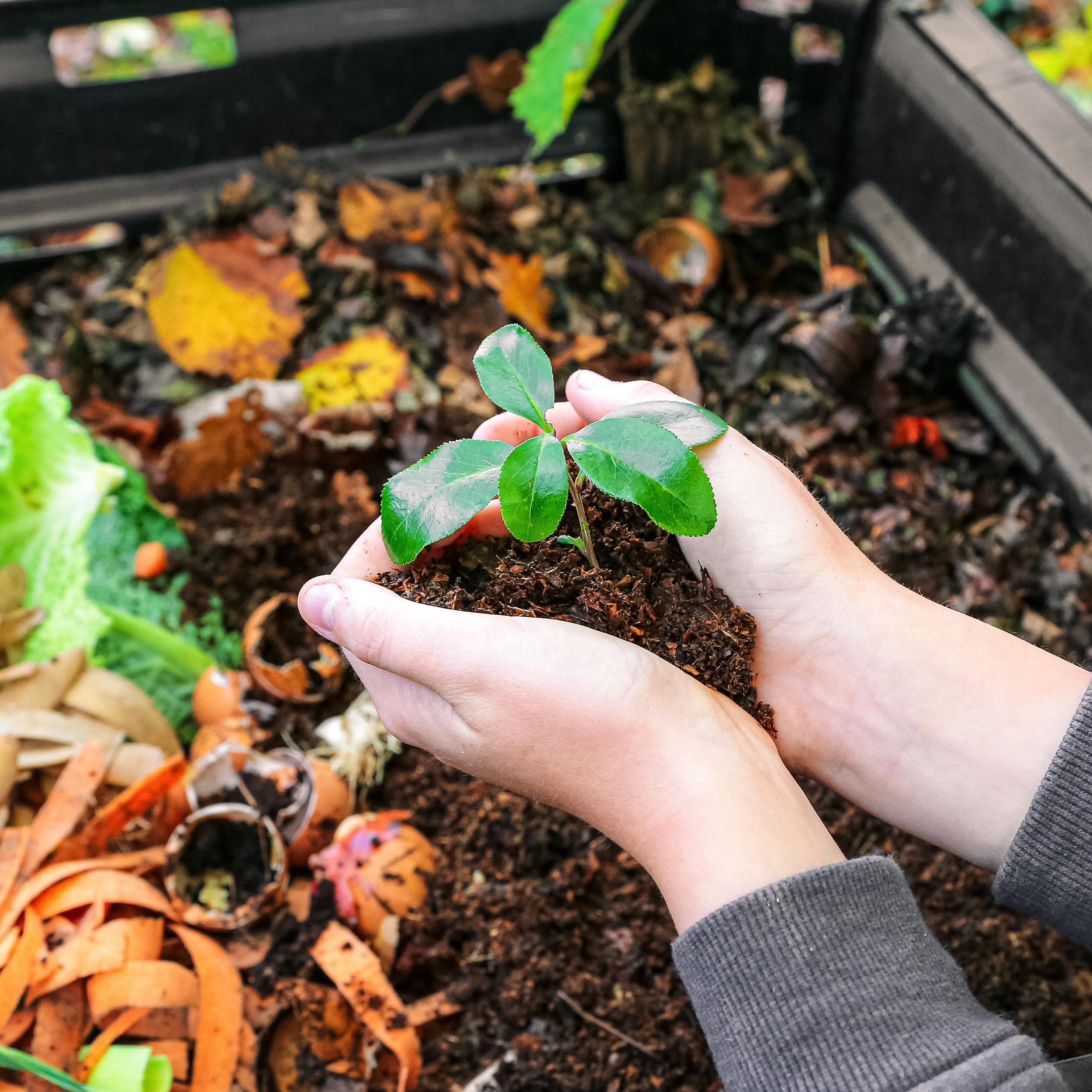 Blumixx Compostador rápido de 3 kg granulado acelerador de compostaje – Aceleración del proceso de compostaje – Arrancador de compostaje de alta calidad de sustancias naturales – Ideal para suelos