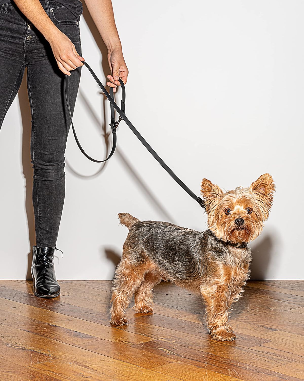 Wild One Leash - Small - Black