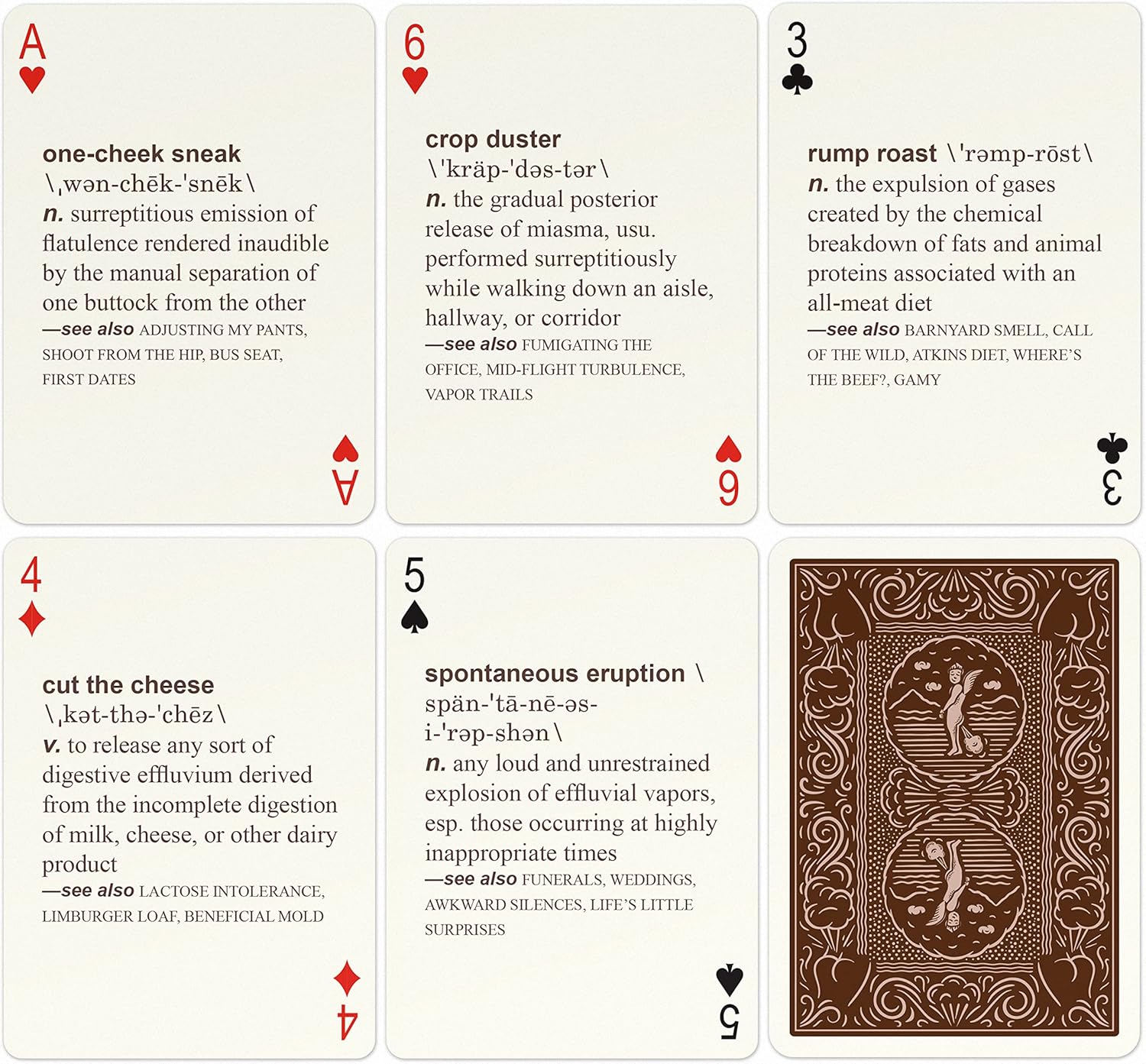 Knock Knock 52 Farts Playing Cards Deck, Adult-Humor Playing Cards (AKA Not Kiddo Friendly!)