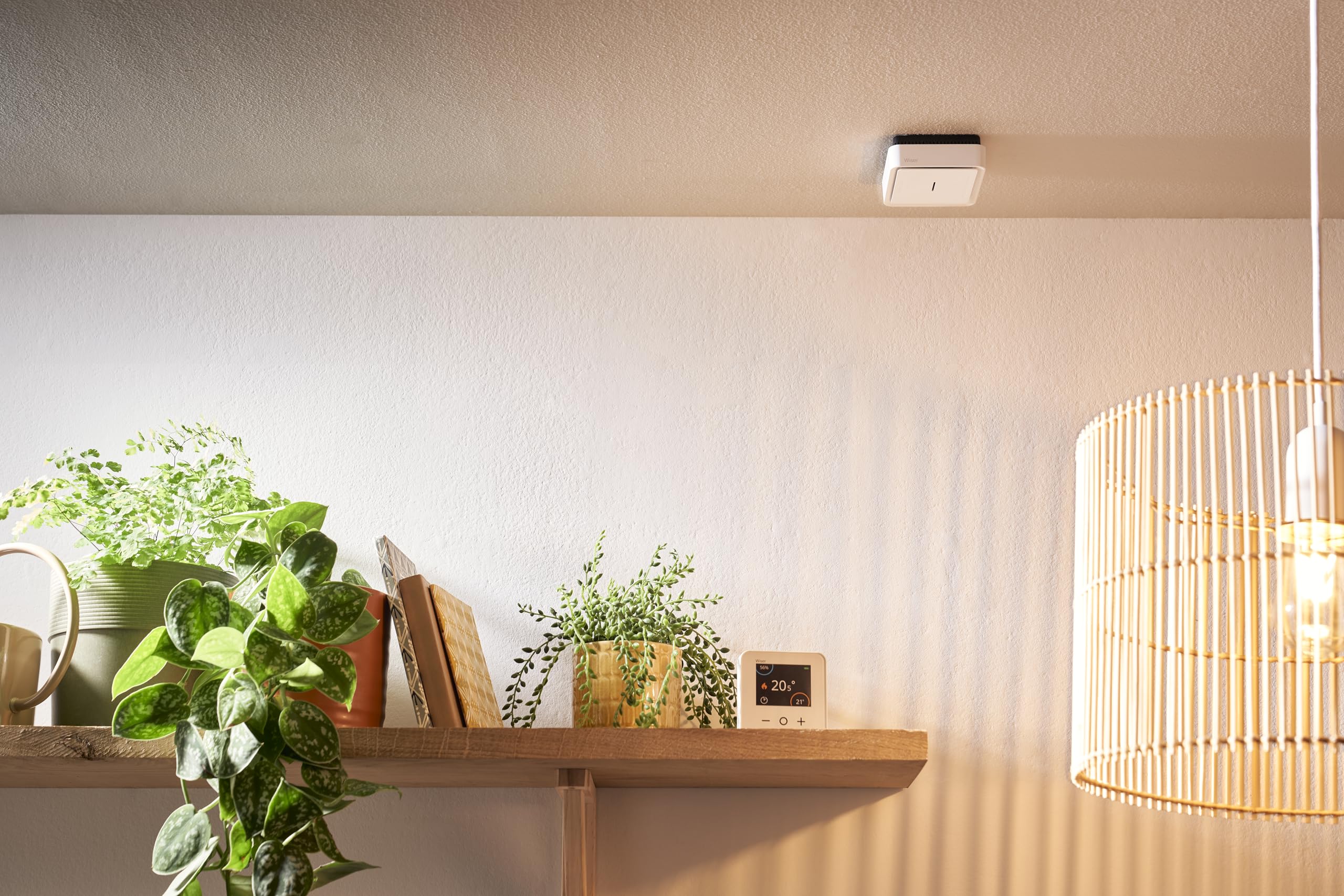 Schneider Electric Wiser Smart Home Rauchmelder, CCT599002 | Steuerung manuell oder per App, über Hub kompatibel mit Alexa und Google, IP20, 10-Jahres Batterie