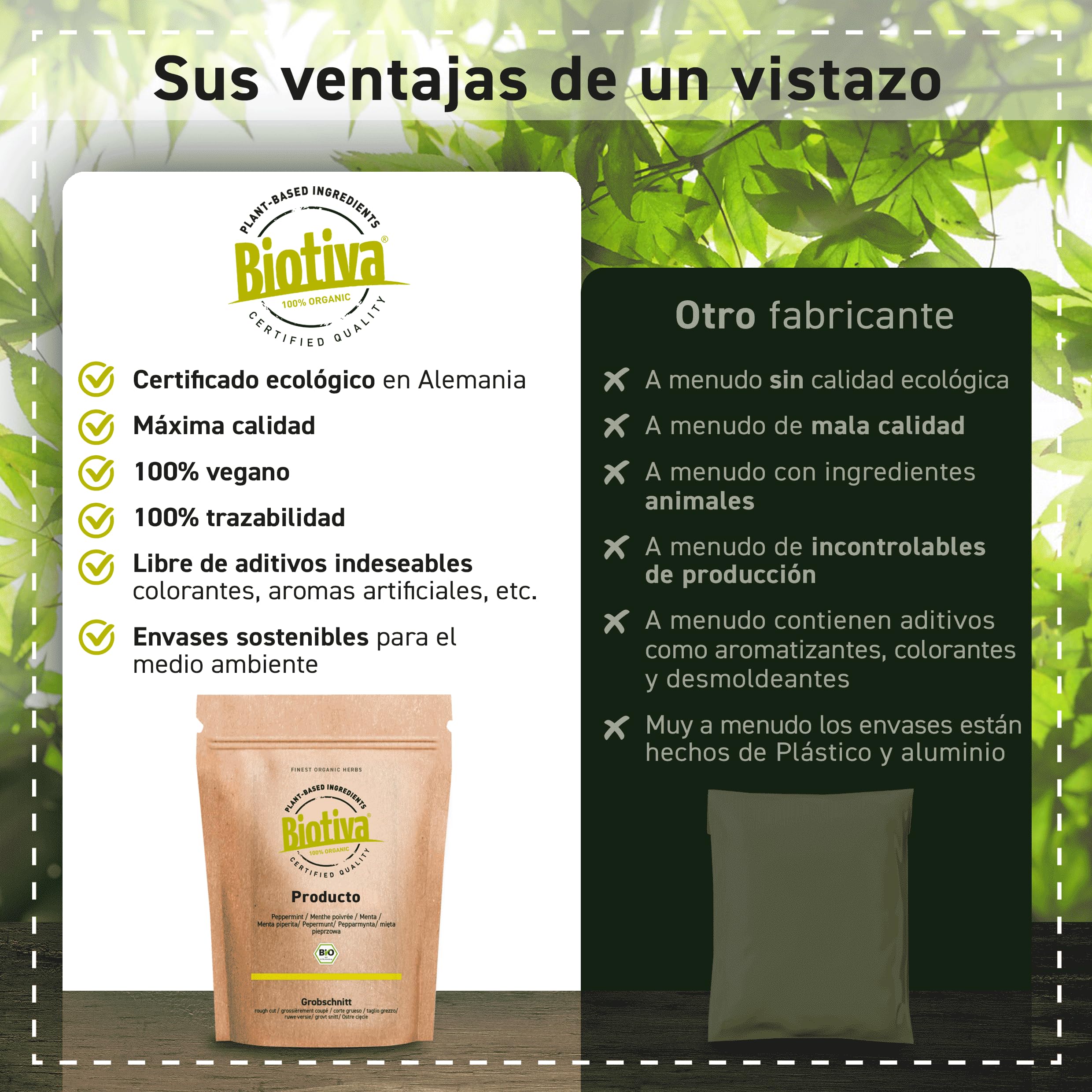 Biotiva Piñones orgánicos 75g - Piñones de cultivo controlado - Envasados, inspeccionados y certificados en Alemania (DE-ÖKO-005)