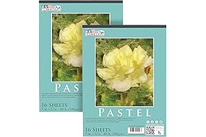 U.S. Art Supply Paper for Pasteles: Unveil the Artist Within