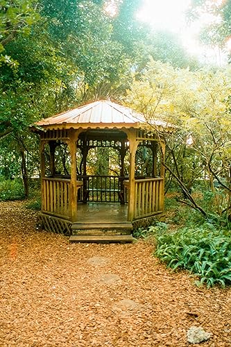 Miniatura 2 de Grano 400D Color Negativo 1.378 in Película 36-Exposiciones (ISO 400) 135 Luz diurna 5500k equilibrada