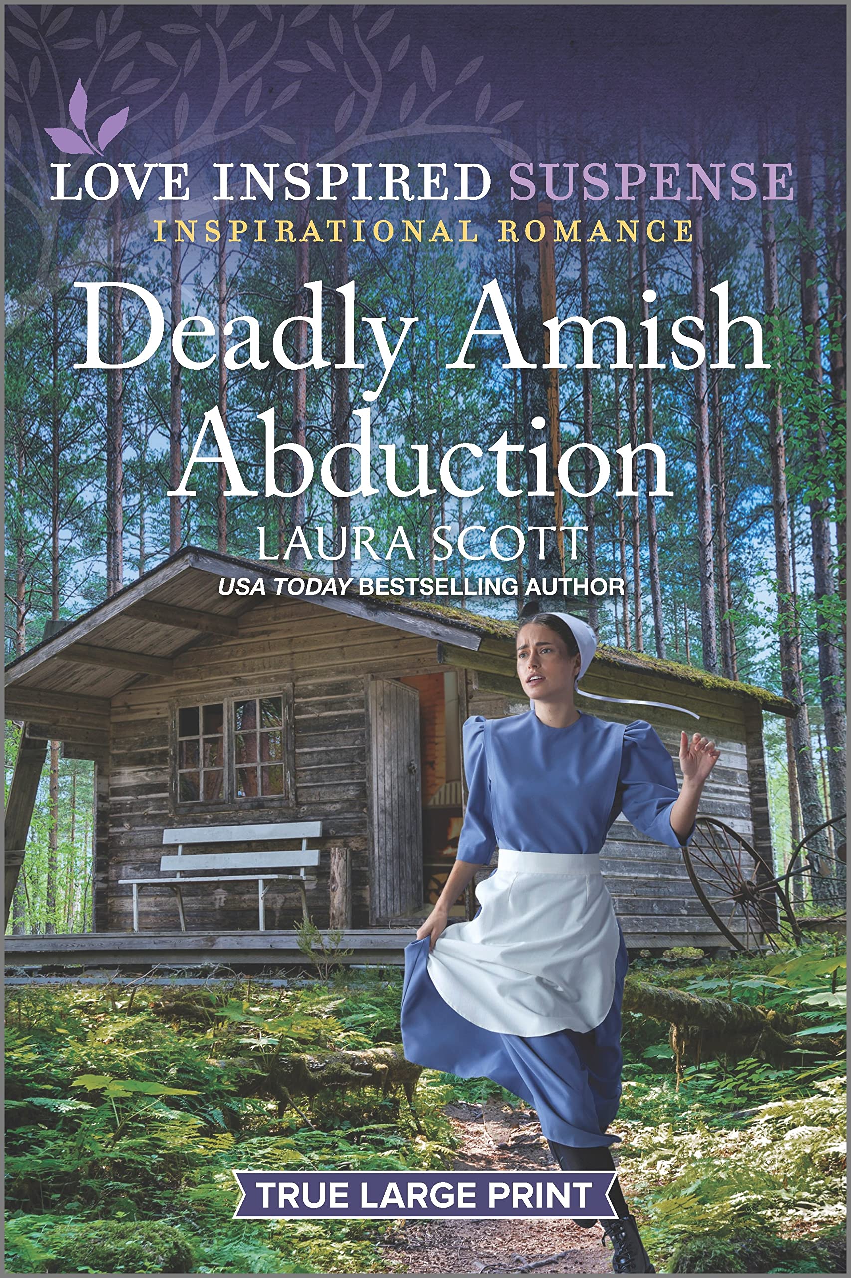 Deadly Amish Abduction (Love Inspired Suspense)