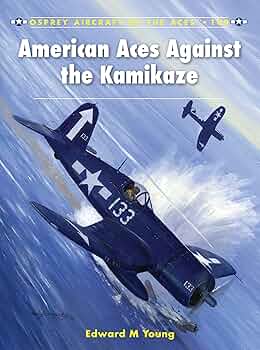 洋書 AMERICAN MILITARY AIRCRAFT 洋書 AMERICAN MILITARY AIRCRAFT Amazon.com: Military