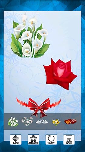 Cartões de aniversário