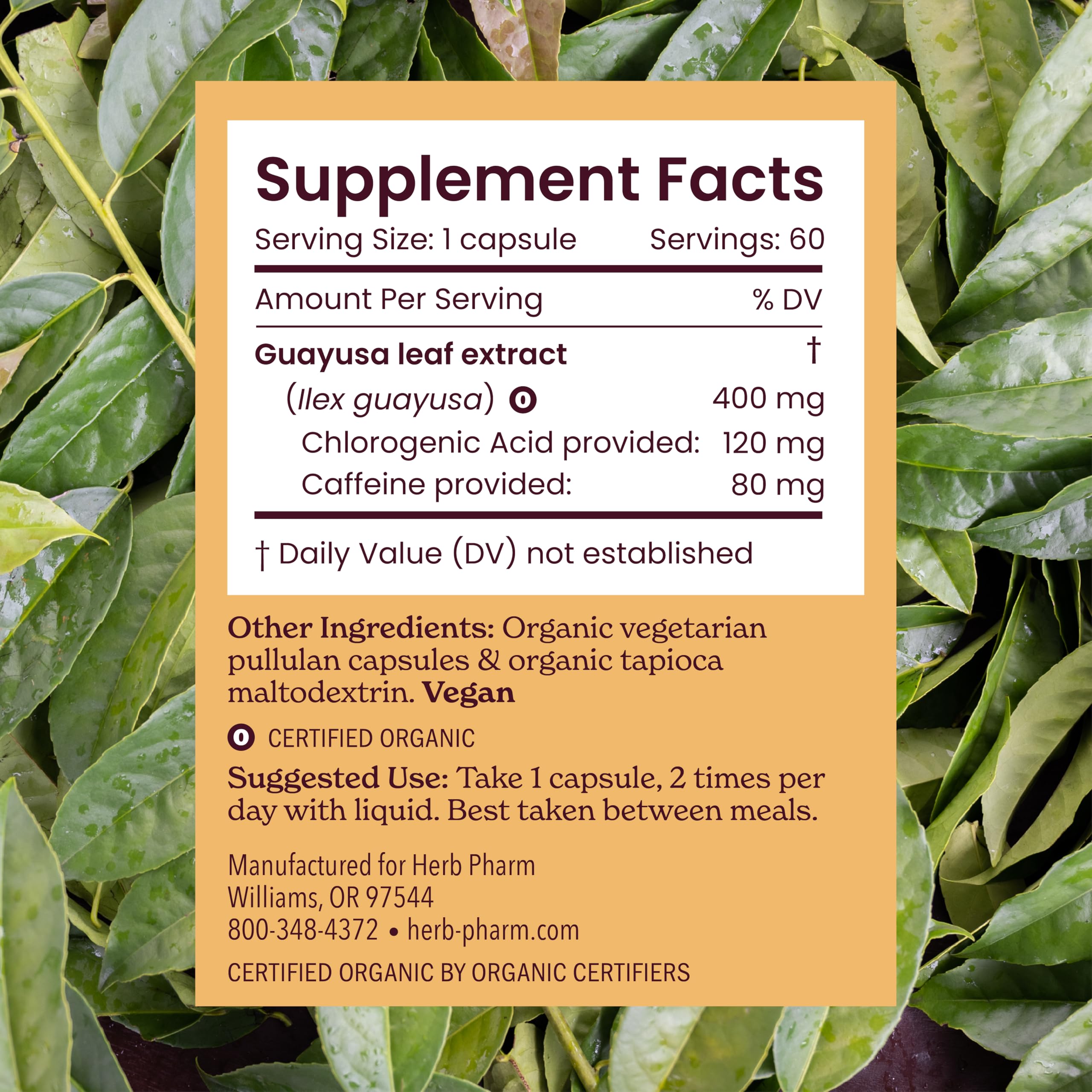 Herb Pharm Guayusa Capsules: USDA Organic Nootropic Brain Supplements for Focus, Herbal Nootropic & Energy Support| 60 Vegan Capsules, 30 Day Supply* — Amazon image 6