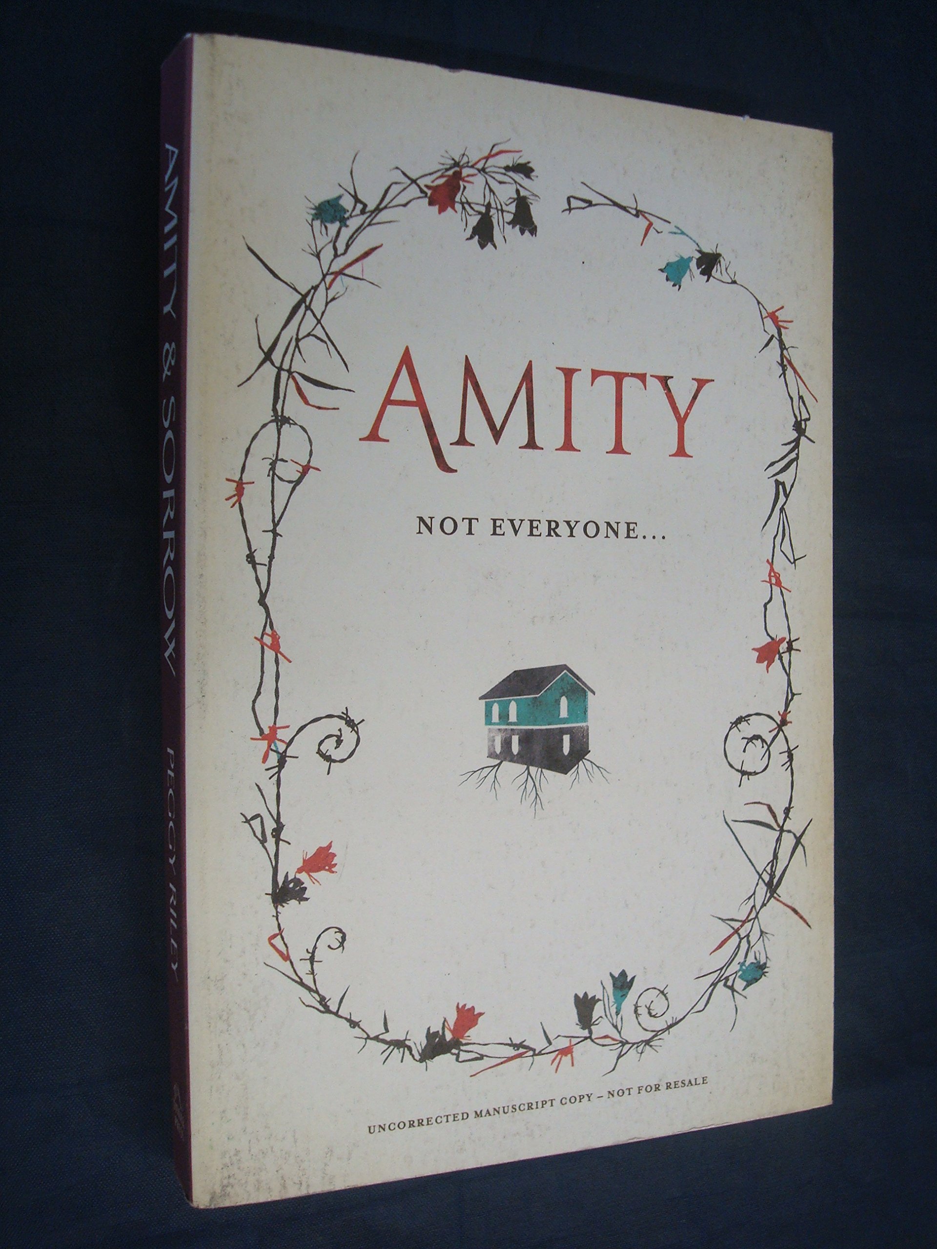 Buy Amity & Sorrow — BookShops.in