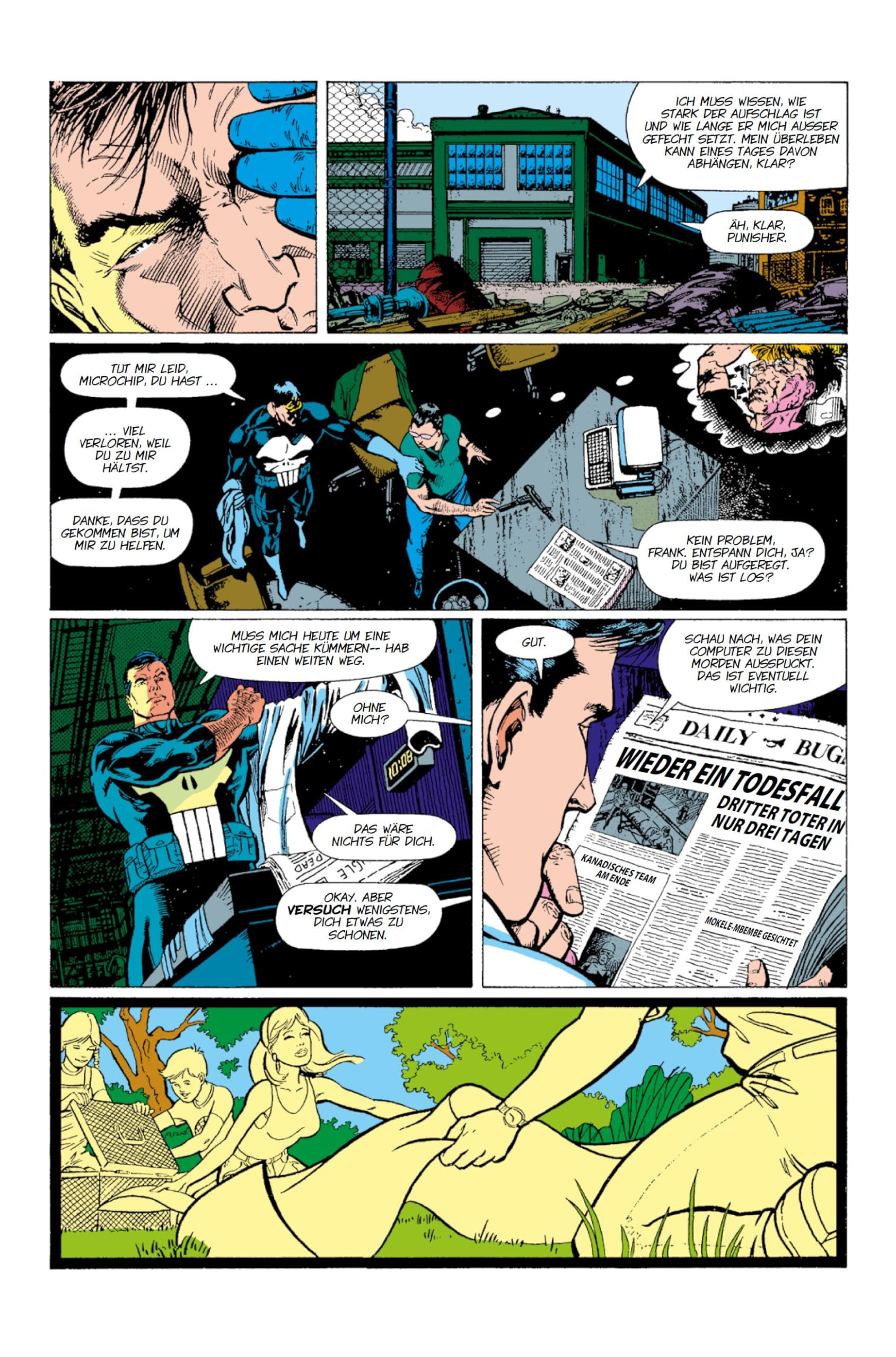 Punisher Collection von Jim Lee
