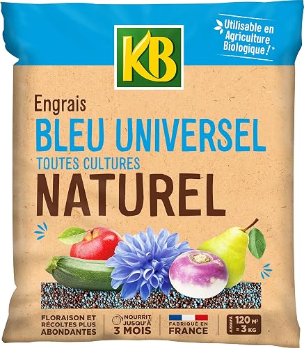 KBLEUBIO3 KB