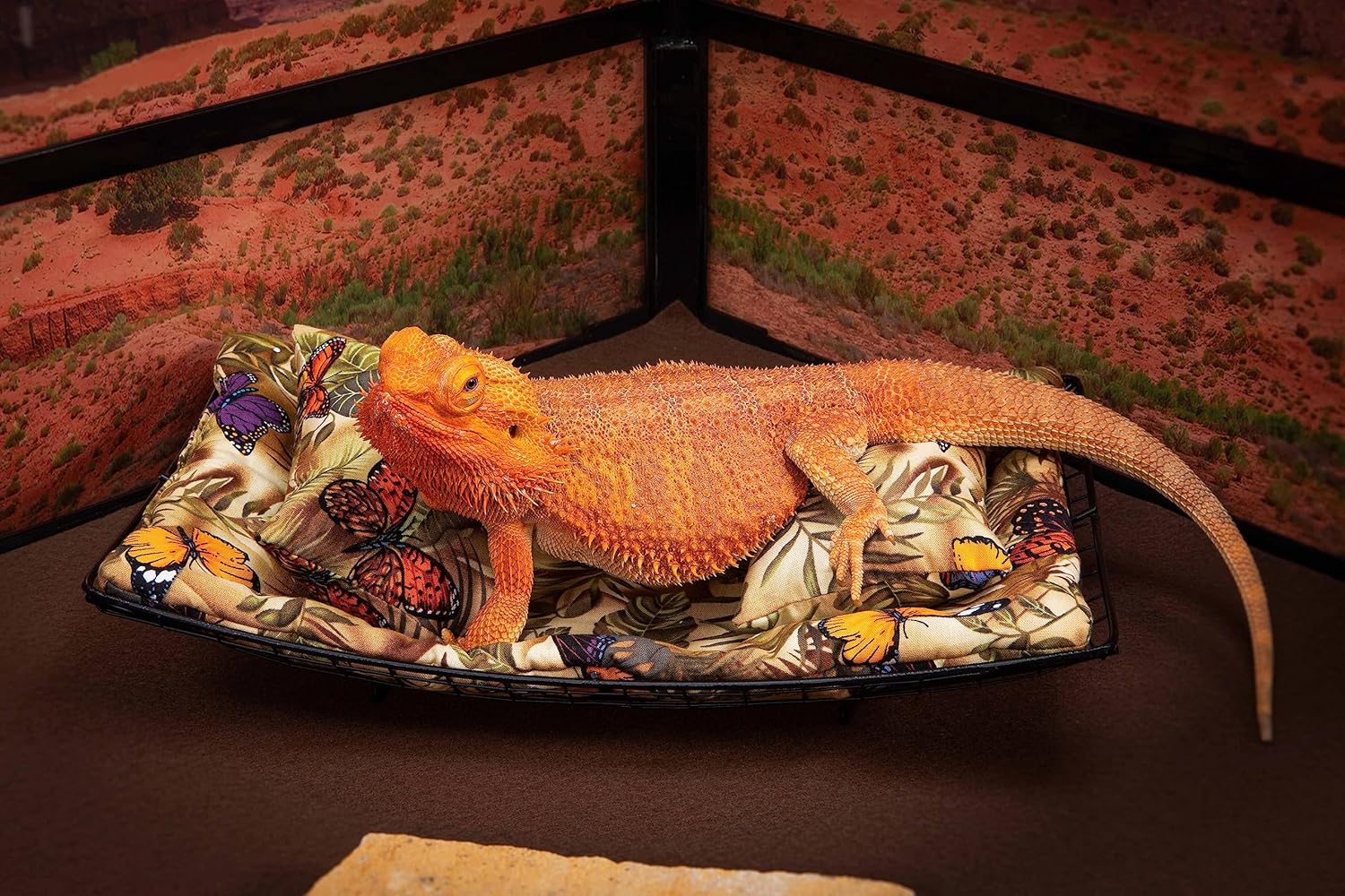 Chaise Lounge for Bearded Dragons, Butterflies and Leaves Fabric