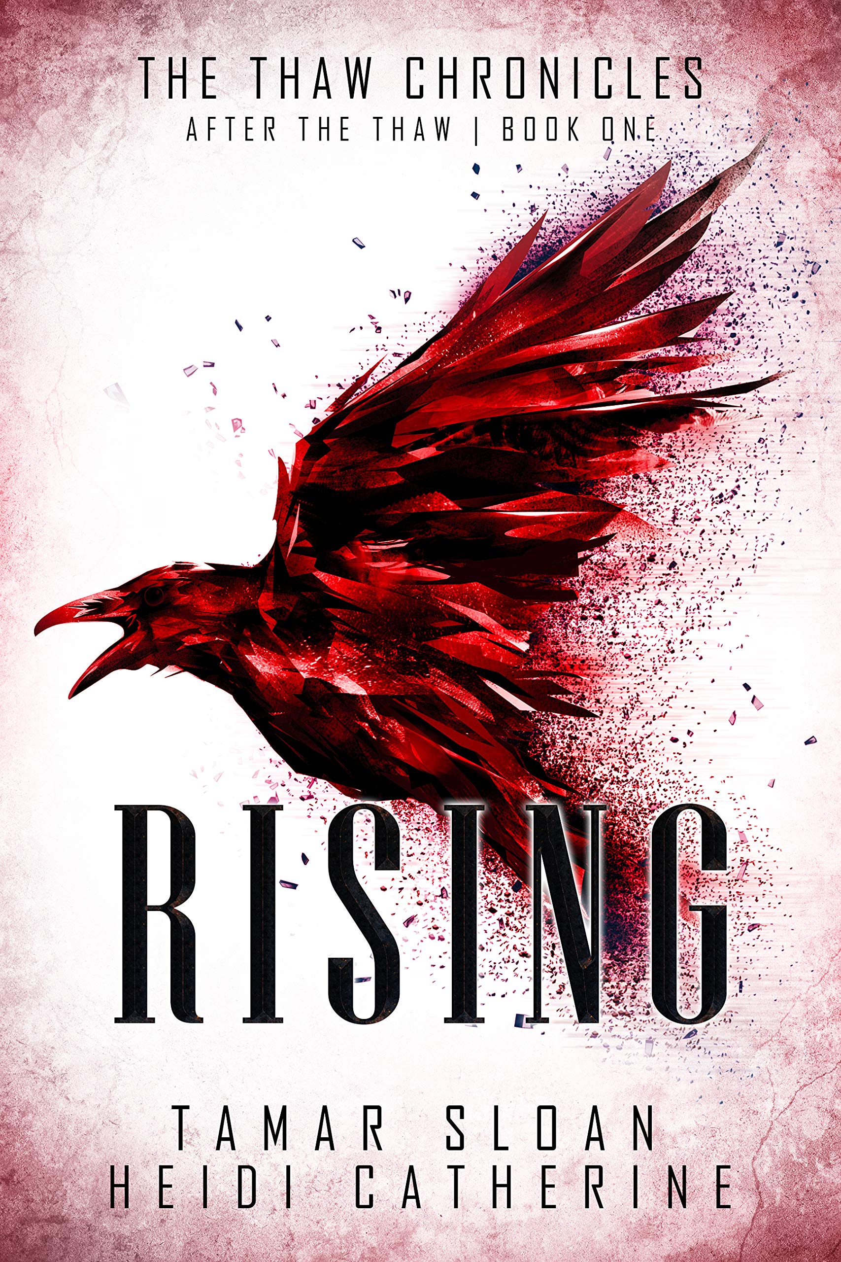 Rising: Book 1 After the Thaw (The Thaw Chronicles)
