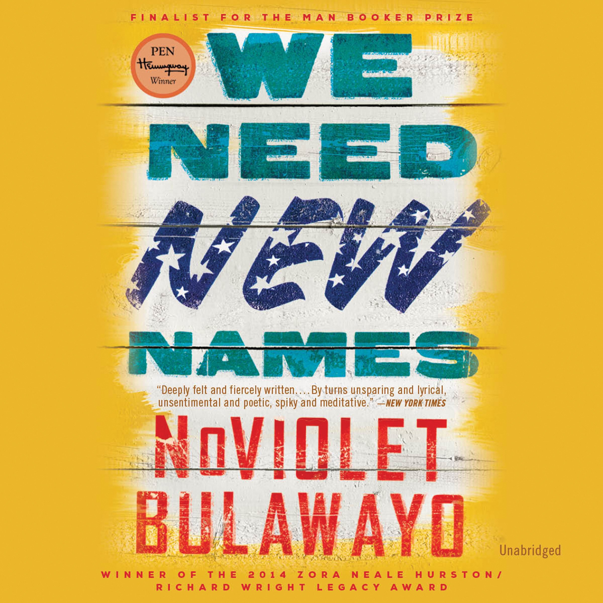 Cover art for We Need New Names
