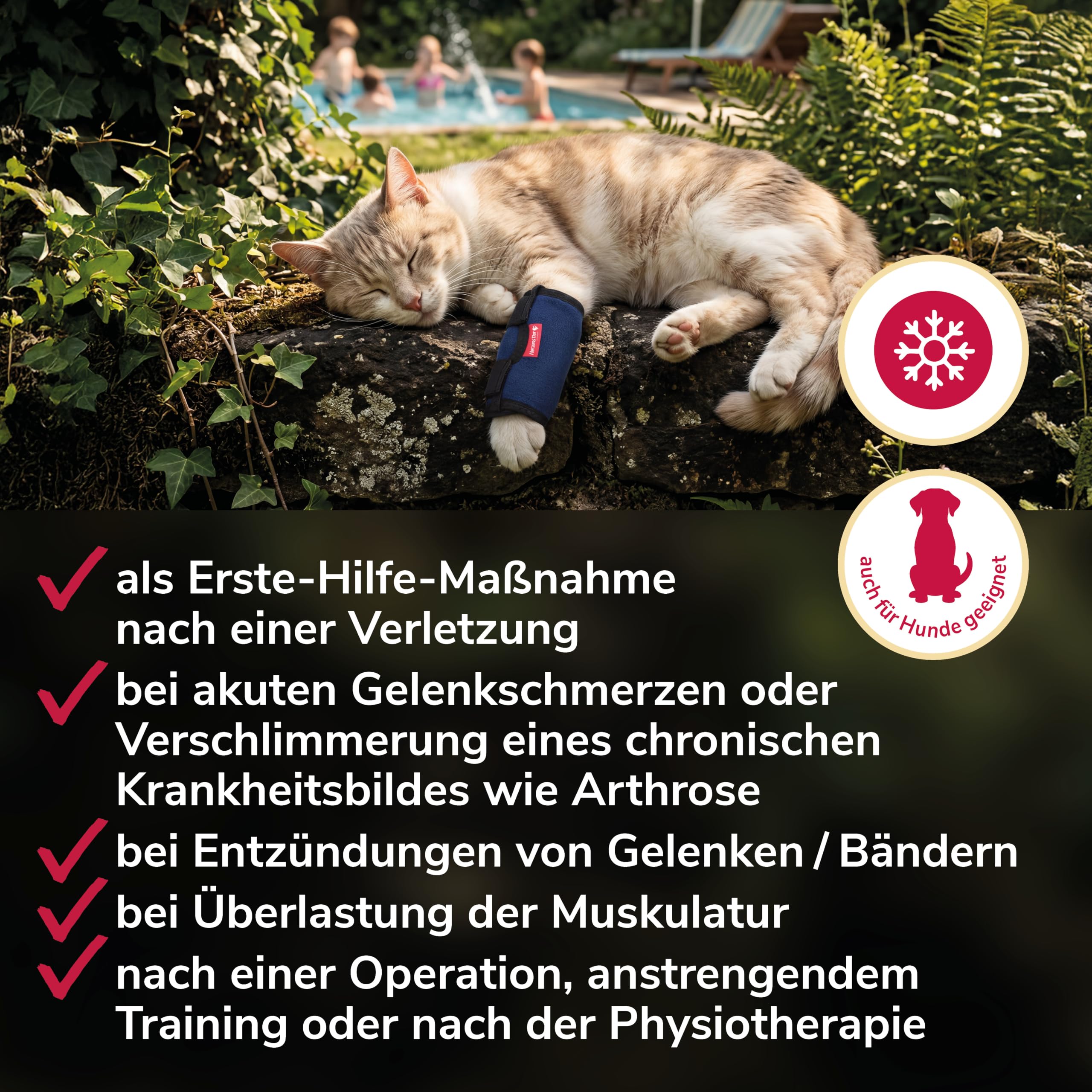 Kühl- und Wärmebandage Gr. S für Hunde & Katzen, 2in1 Therapie bei Verletzungen & Arthrose