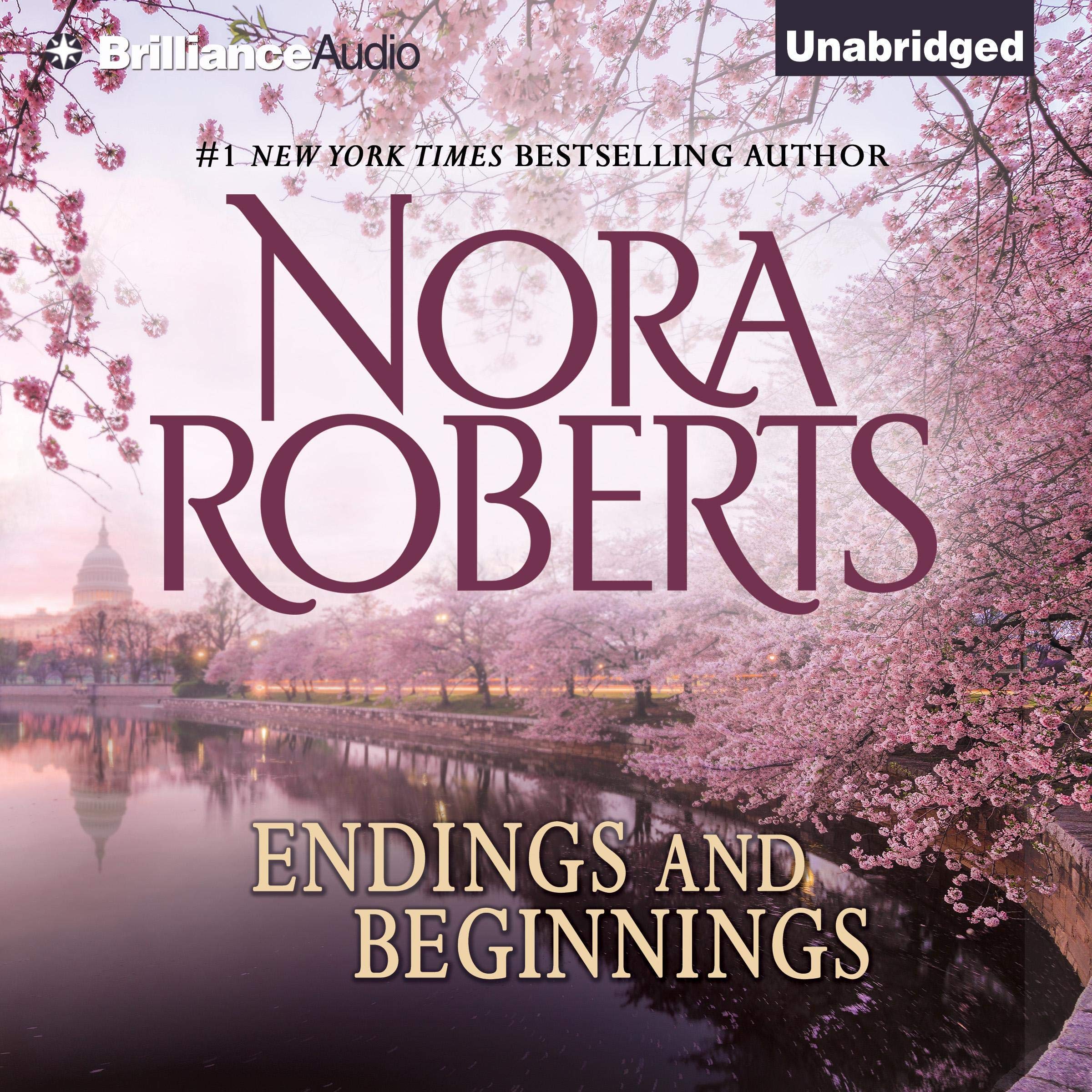 Cover art for Endings and Beginnings