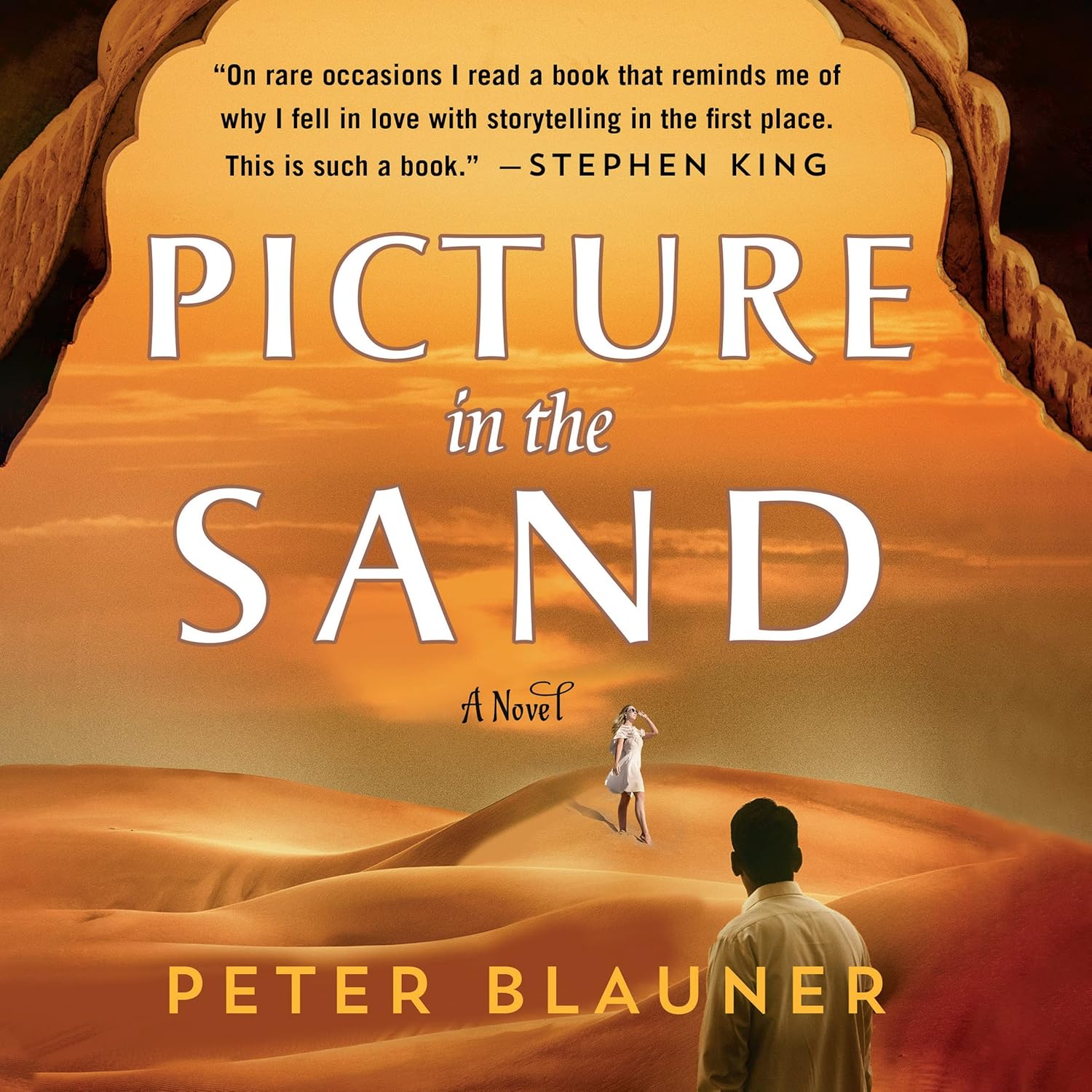Amazon.com: Picture in the Sand: 9781666622805: Blauner, Peter, Rohani ...