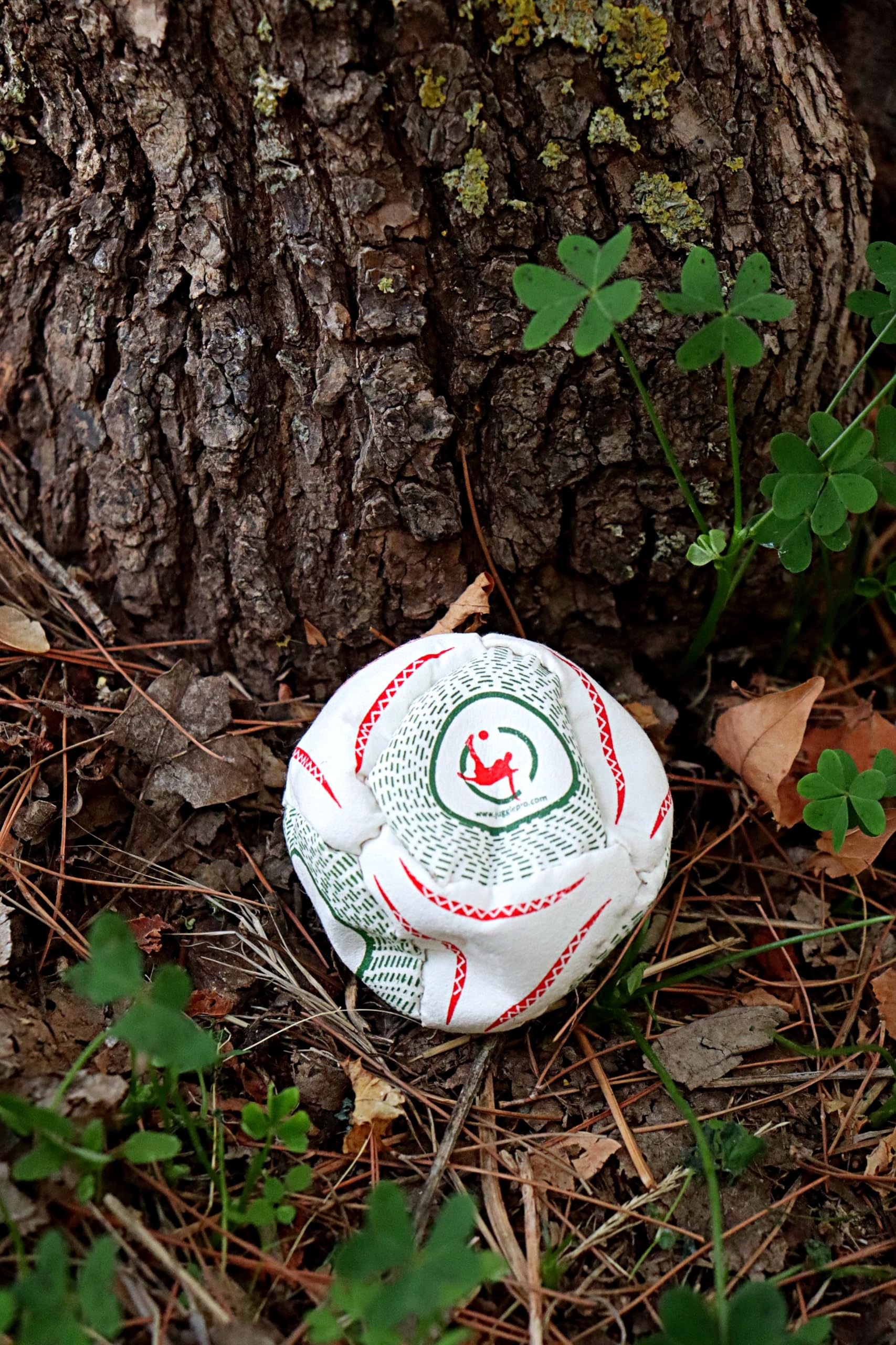 Footbag Officiel Coupe du Monde 2010 8 Panneaux Ultrasuede