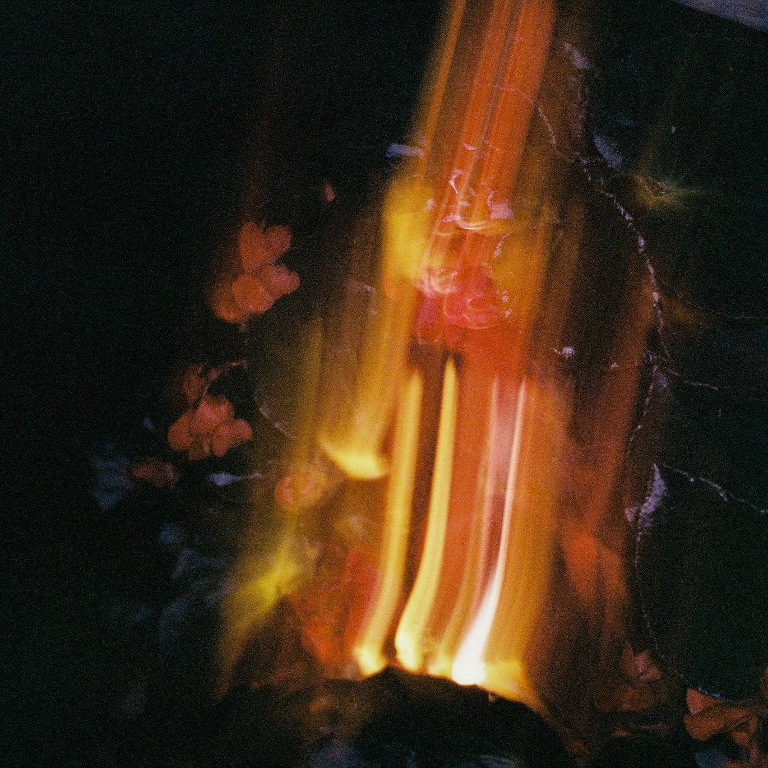 tomcbumpz & Sadboyprolific & Ivri