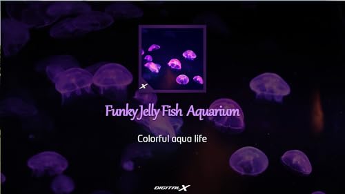 Funky Jelly Fish Aquarium - Colourful Aqua Life