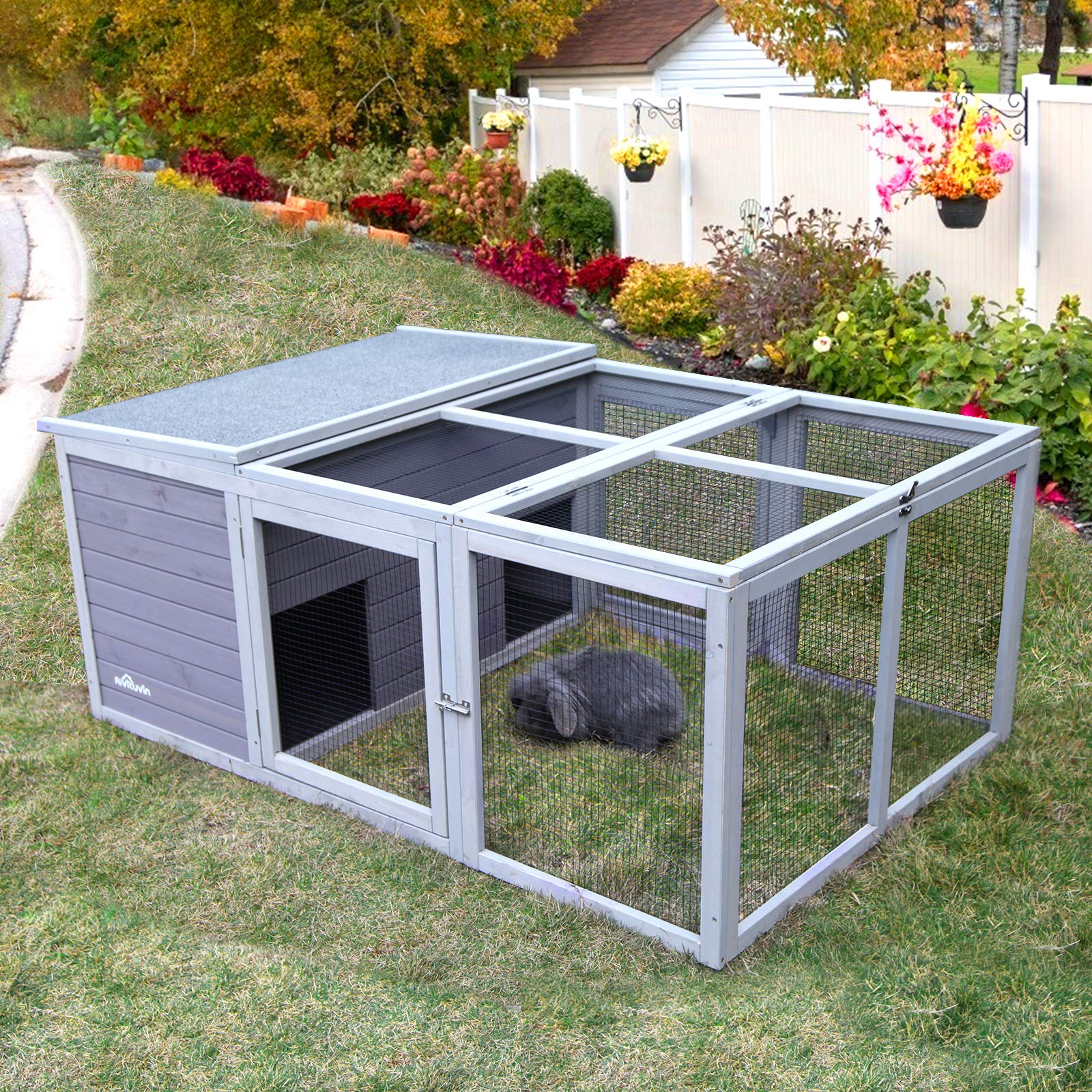 Walk in Chicken Coop, Chicken House Coop, Chicken Coop for 8 Chickens
