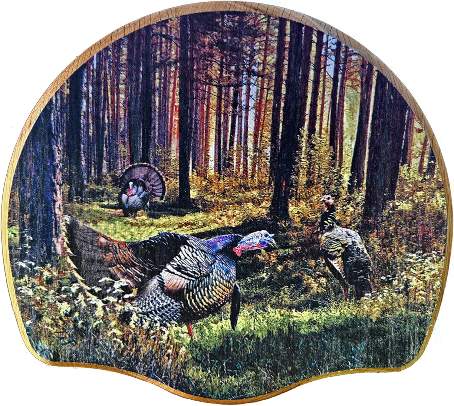 Foggy Bottom Woodworks Solid Oak Turkey Display Kit with Gobblers Lane Image