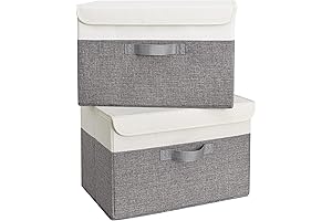 GRANNY SAYS Fabric Storage Boxes with Lid: Your Organizational Sanctuary
