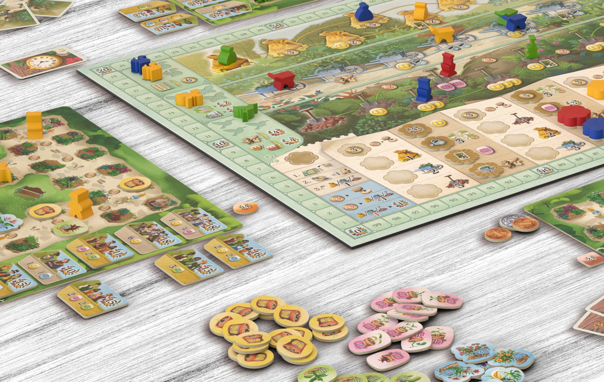 Asmodee - Hans im Glück - BOTANICUS - Jeux de société - Jeux de Plateau - Jeu Famille et Enfants à partir de 10 Ans - 2 à 4 Joueurs - 45 Min - Version française