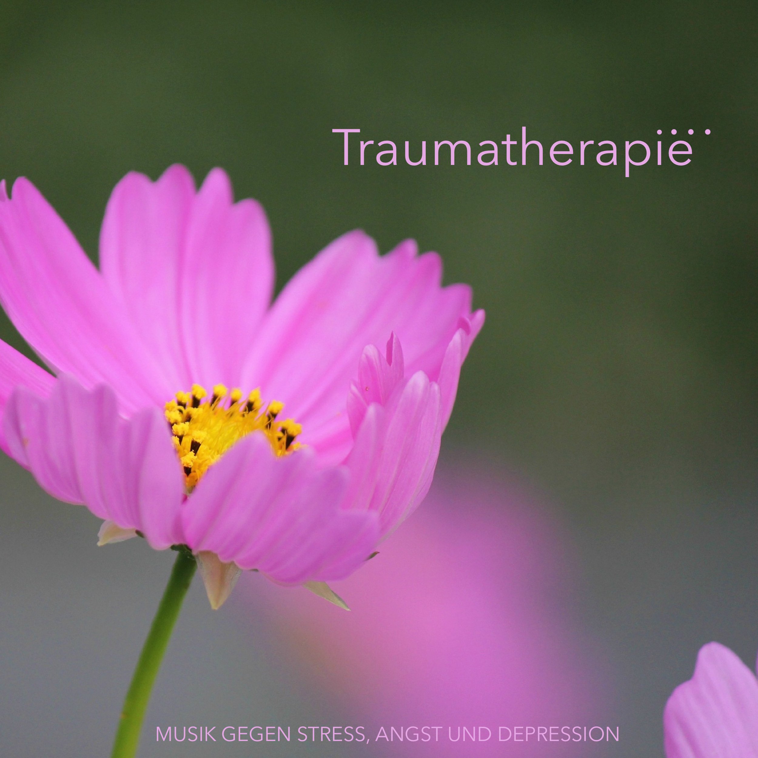 Meditationsmusik Doktor