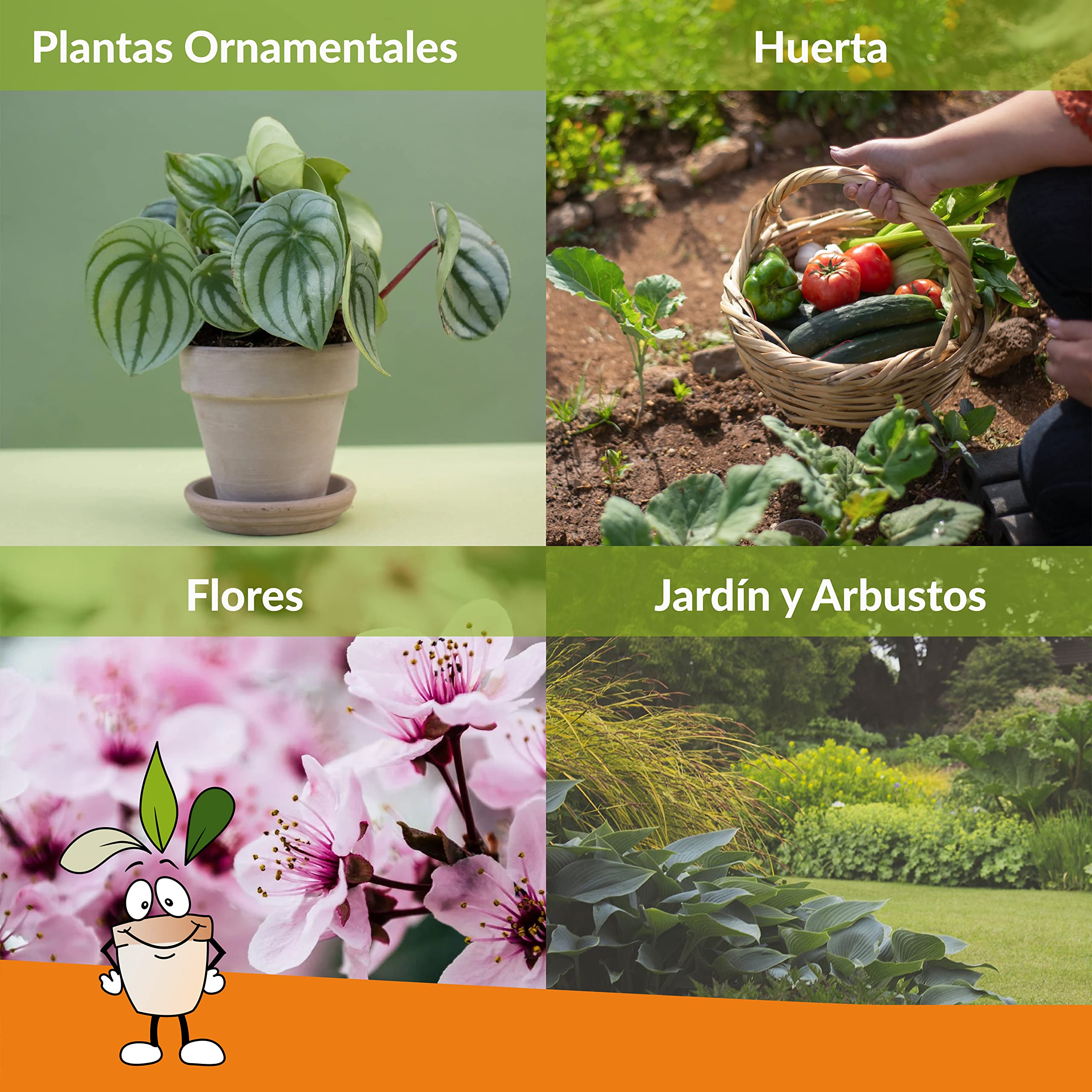 CLOSTER Jabón Potasico Puro (1 LT) - Insecticida Biodegradable - Defensa Natural de Las Plantas Contra Insectos y Parásitos - Anti Pulgones Acaros Cochinilla Chinches en Tu Huerto Jardín