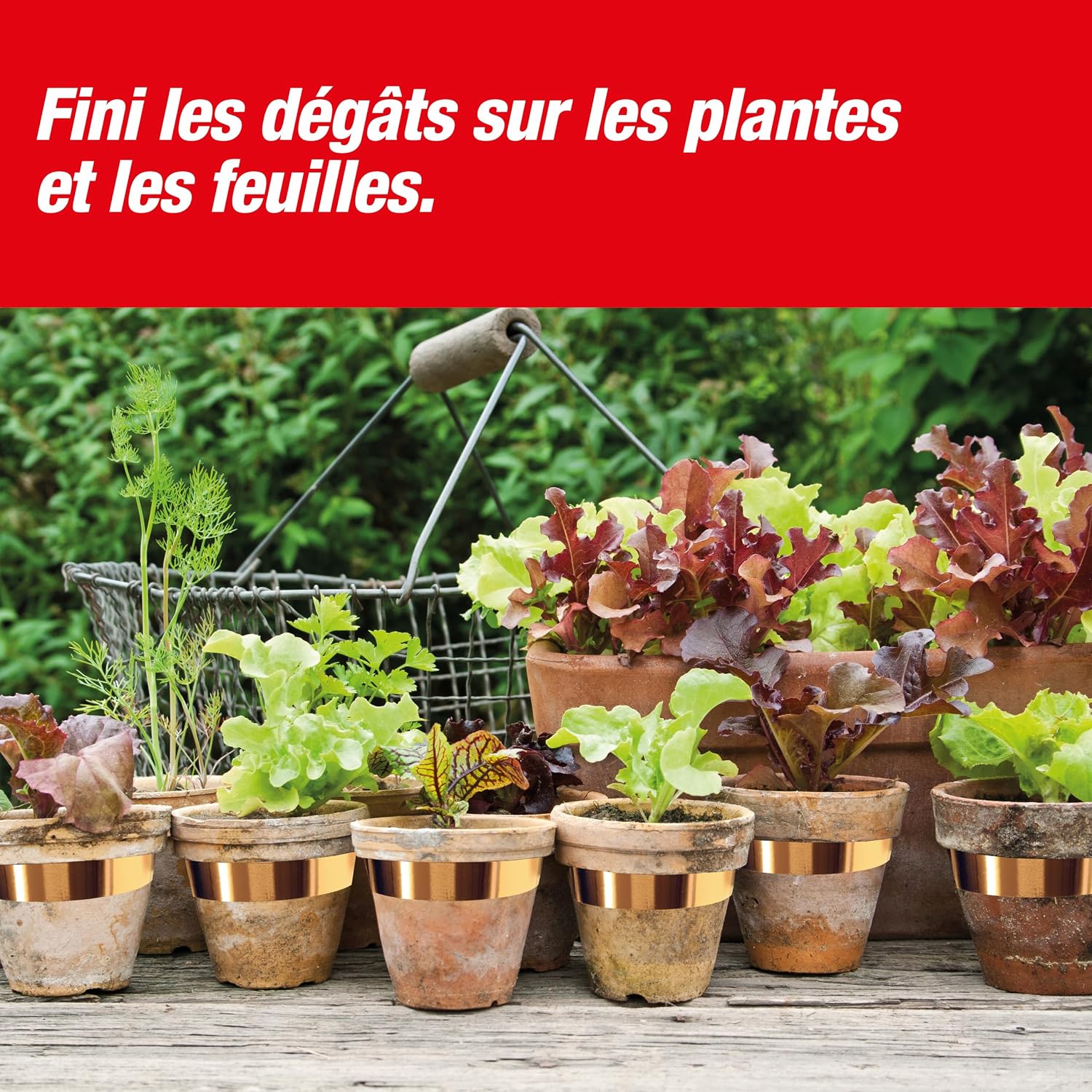 SWISSINNO Ruban Cuivré Anti-Limaces – Bande de cuivre autocollante pour Protection des Plantes – 5 m x 3 cm résistante à l’Eau — vue 6