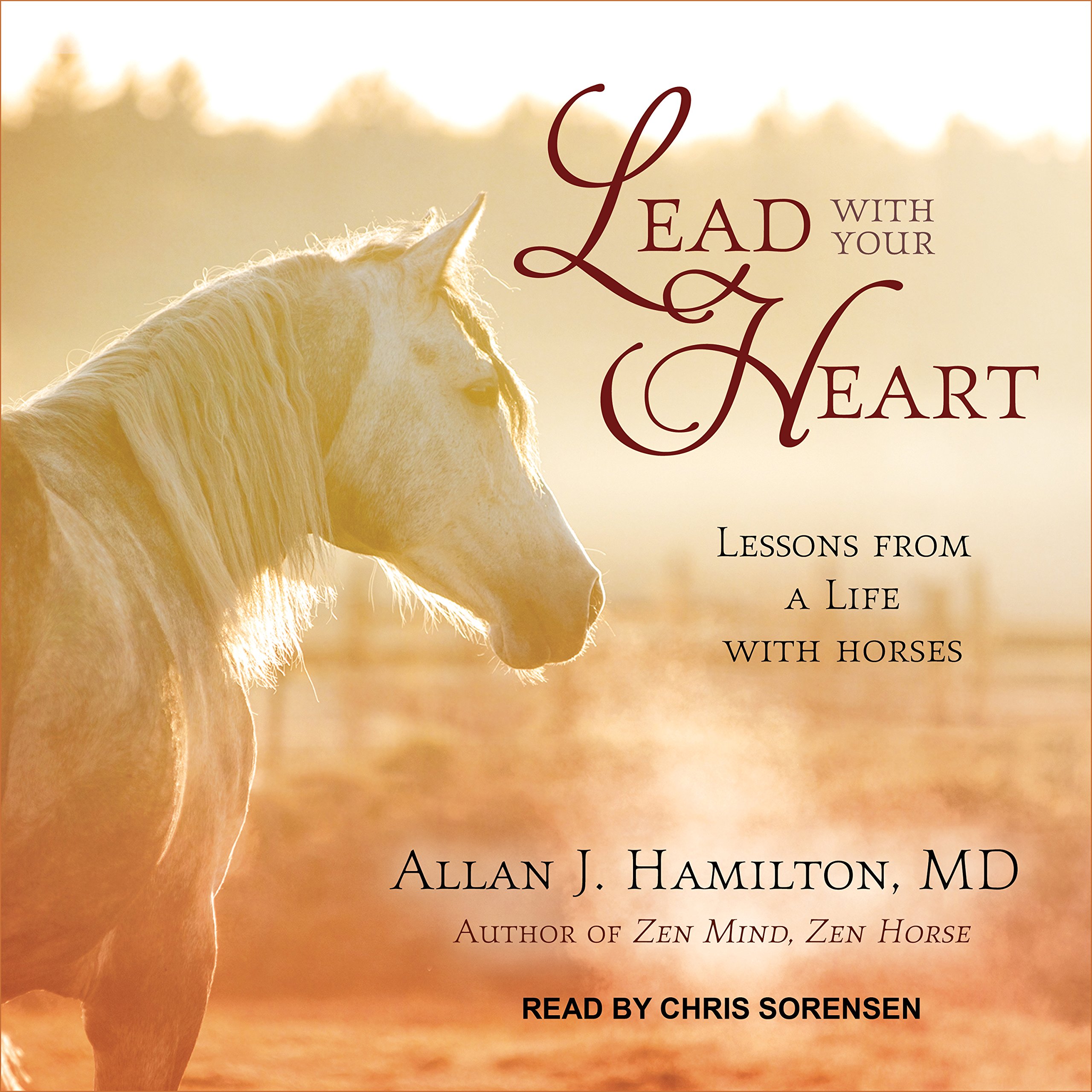 Cover art for Lead with Your Heart