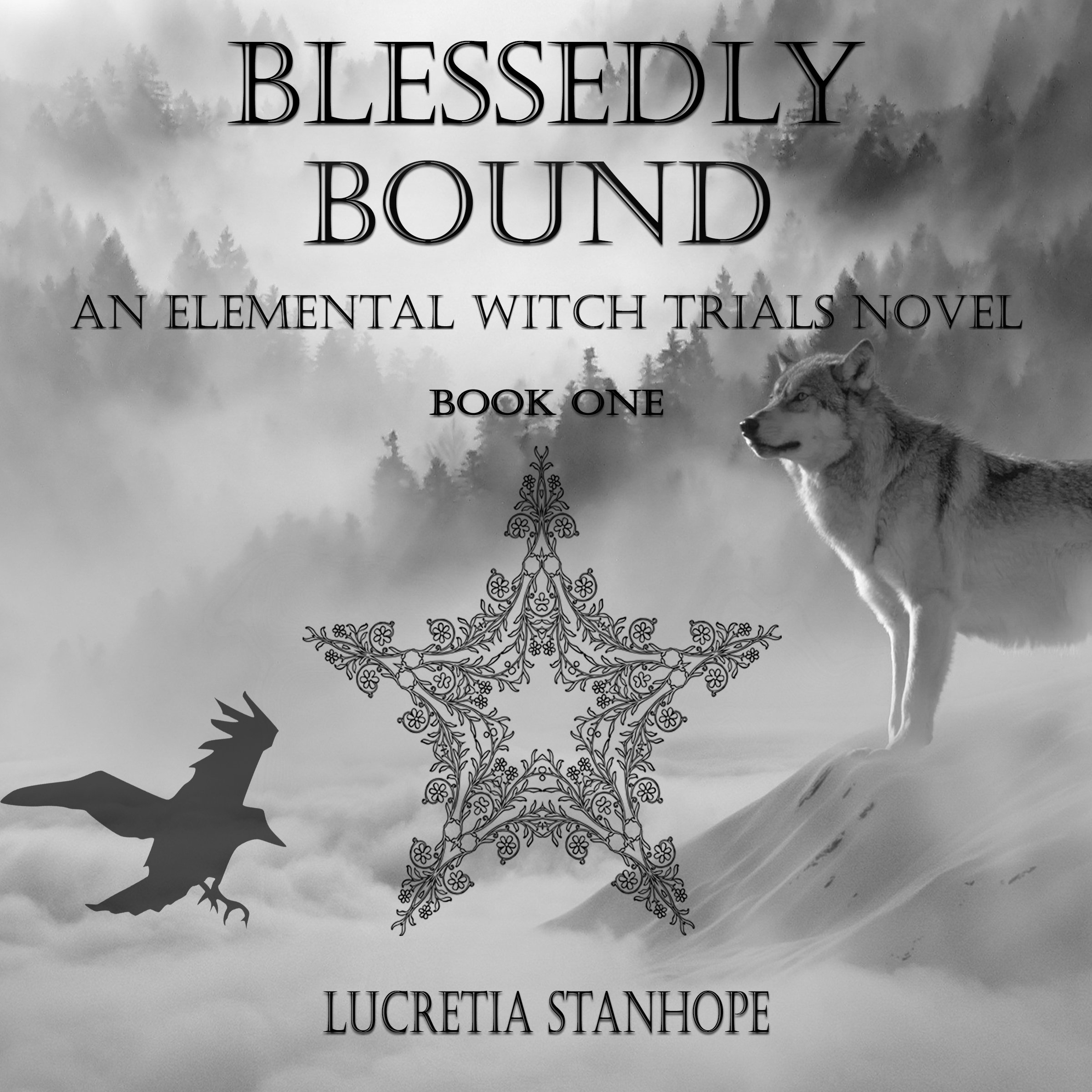 Cover art for Blessedly Bound