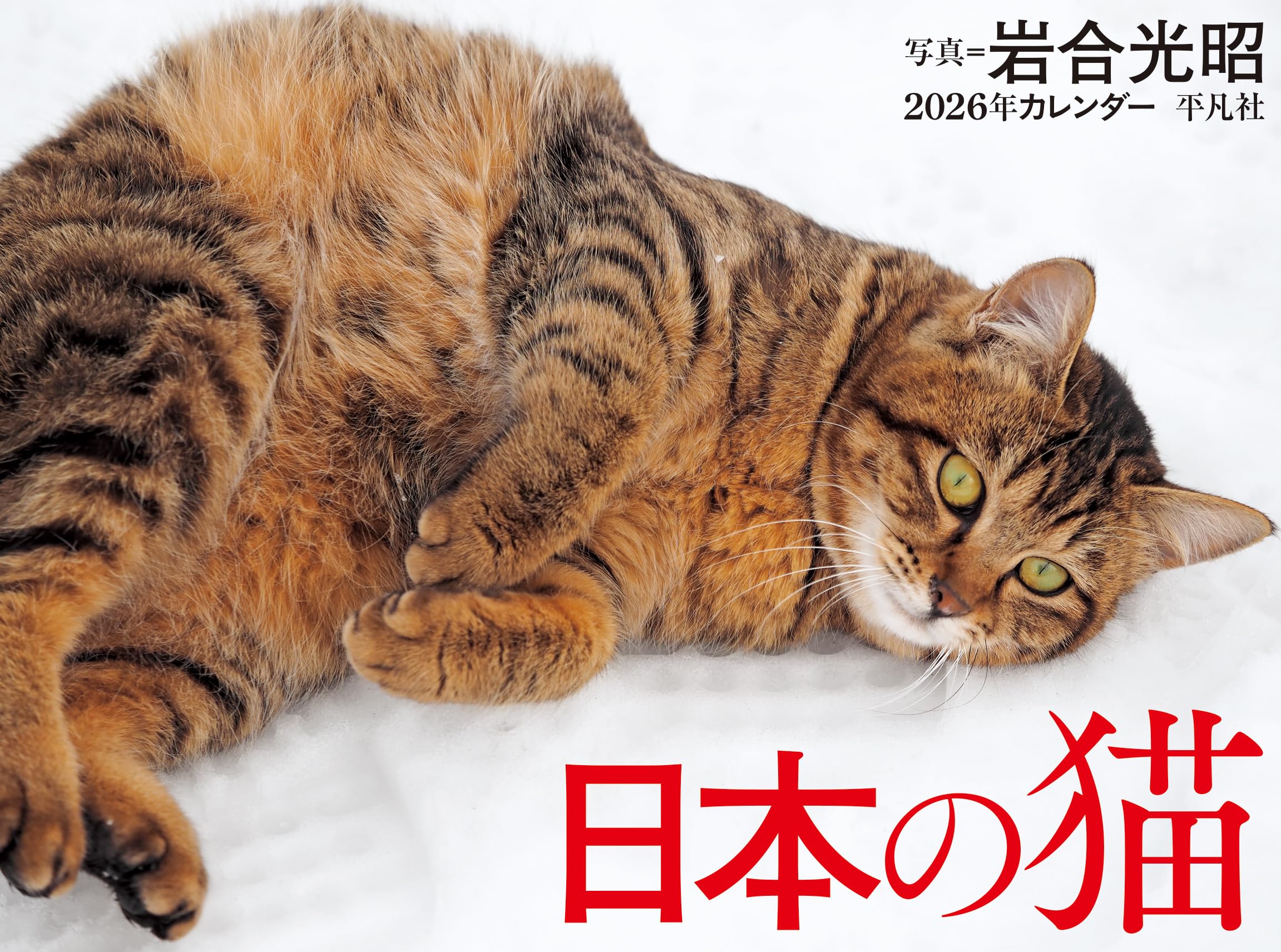 2026年カレンダー 日本の猫 ([カレンダー]) | 岩合 光昭 |本 | 通販
