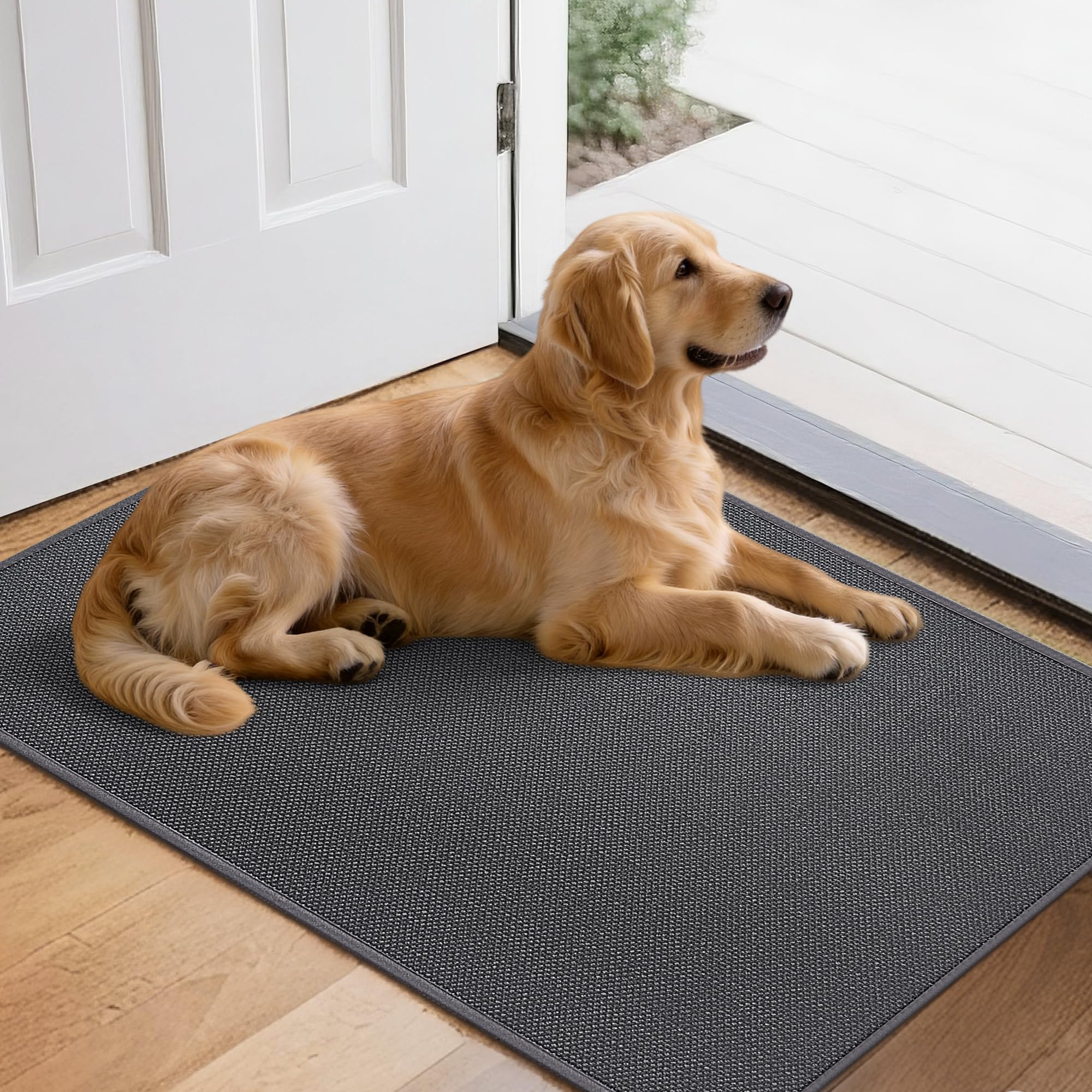 Mizuosre Fußmatte Innen Waschbar 43.5x75cm, rutschfest Fussmatte Innen Dünn Schmutzfangmatte Innen Türmatte Outdoor, Eingangsteppich mit Wasserabsorbierenden für Innen, Außen, Hund & Haustür, Grau