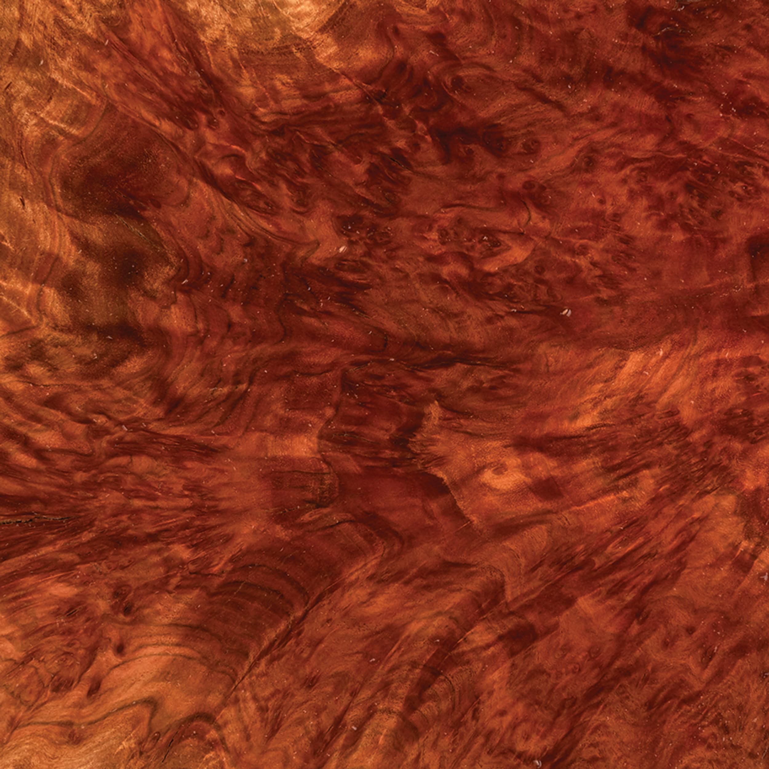 Woodcraft Australian Red Mallee Burl Cap 1kg-2kg 1-Piece