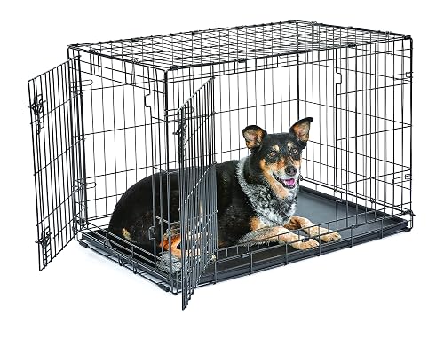 New World - Jaula plegable de metal para perros de doble puerta de 91 cm, seguridad mejorada, incluye bandeja…