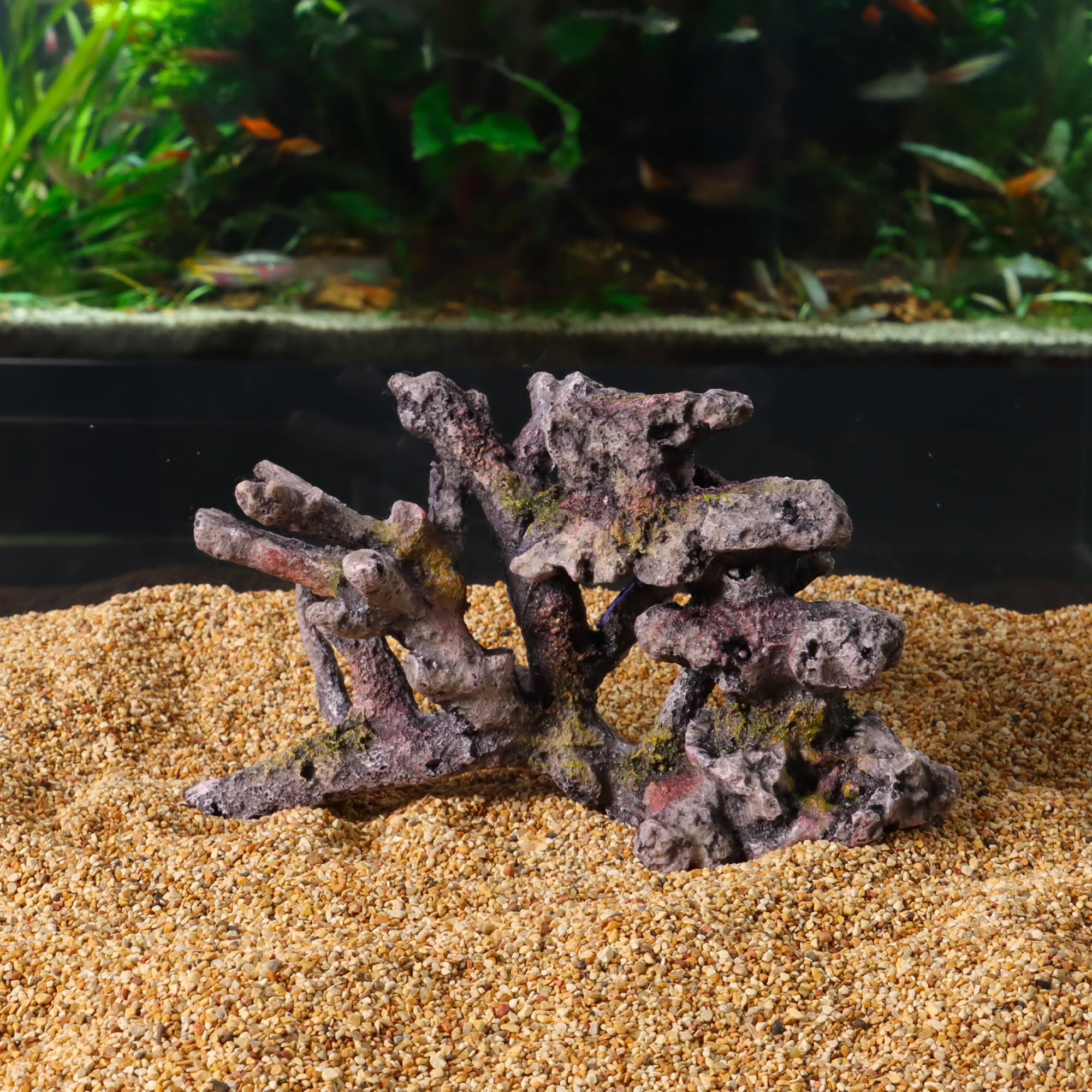 Amtra Żywica dekoracja REEF ROCK BRANCH SM 2