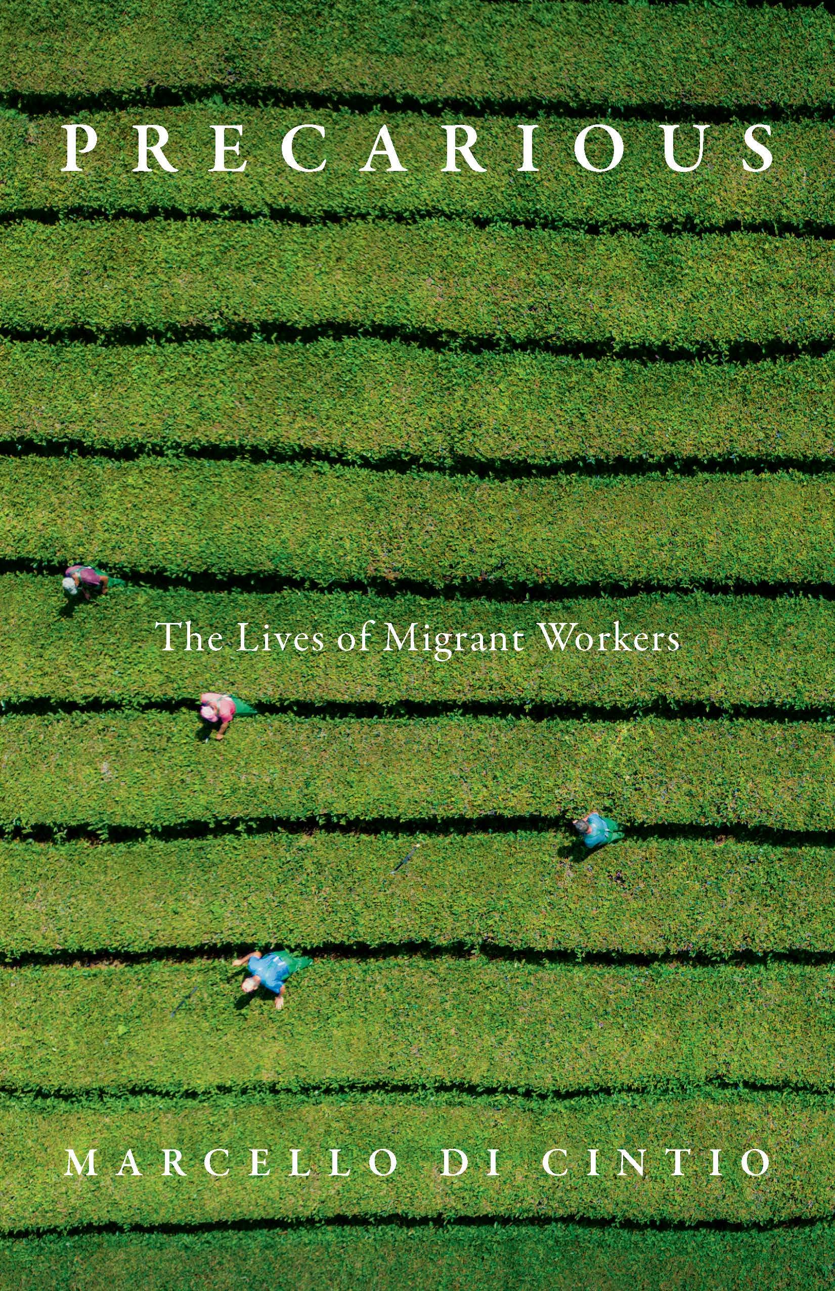 Precarious: The Lives of Migrant Workers