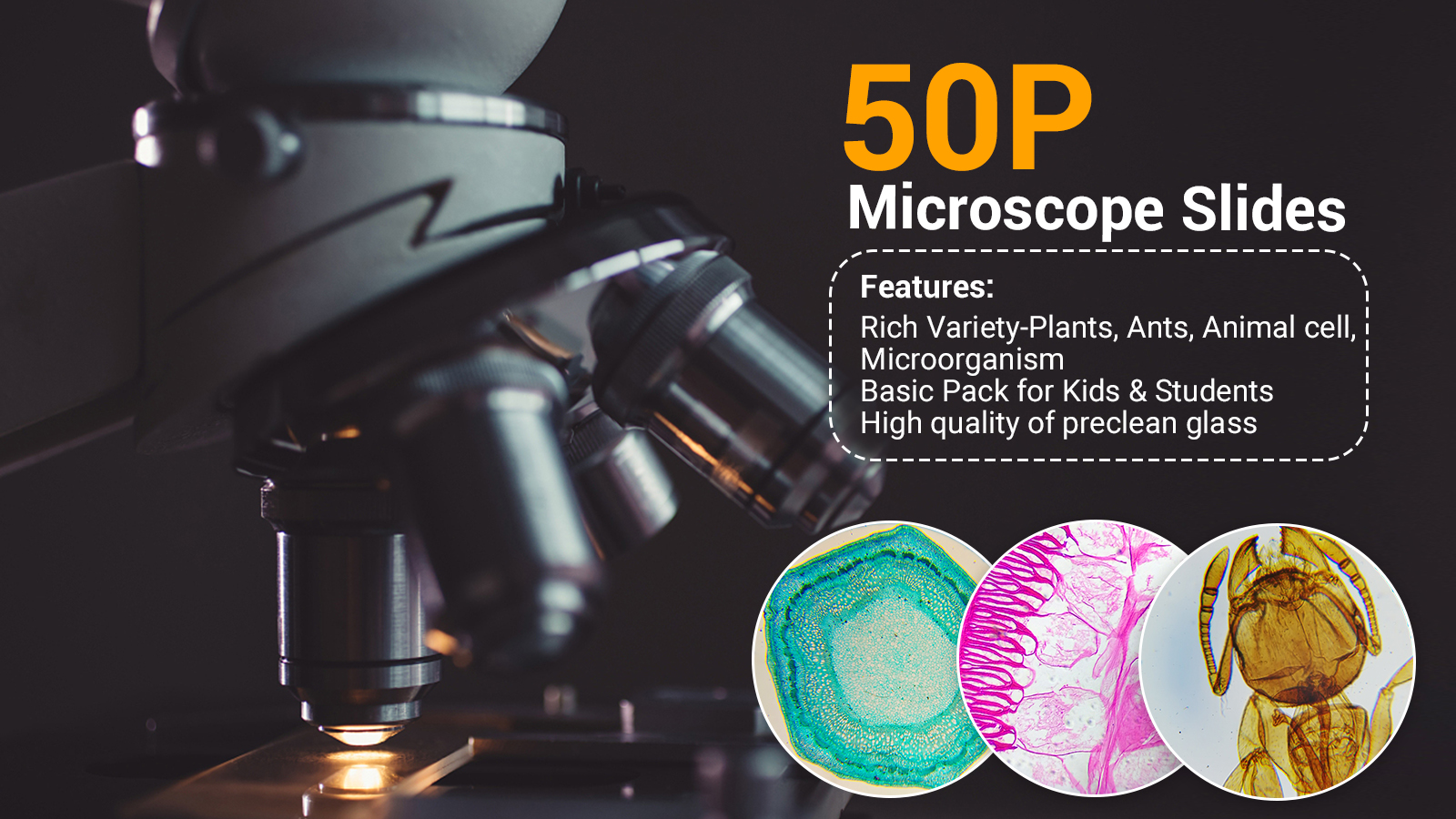 Amscope BS50PS100 50pc PreCleaned Blank Ground Edge Glass Microscope