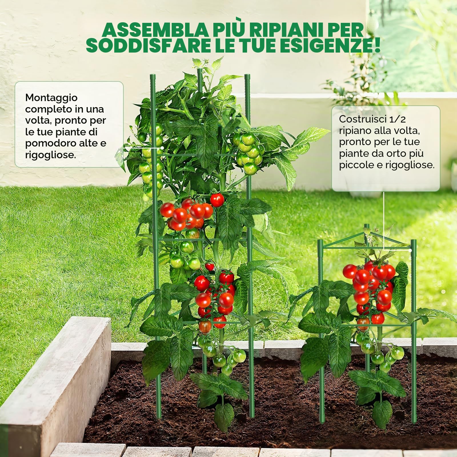 MQUPIN Tomato Plant Support , supporto per piante rampicanti, supporto regolabile in altezza da 130 cm per pomodori, cetrioli, rose, giardini, traliccio in metallo con 20 fascette (6 pezzo)