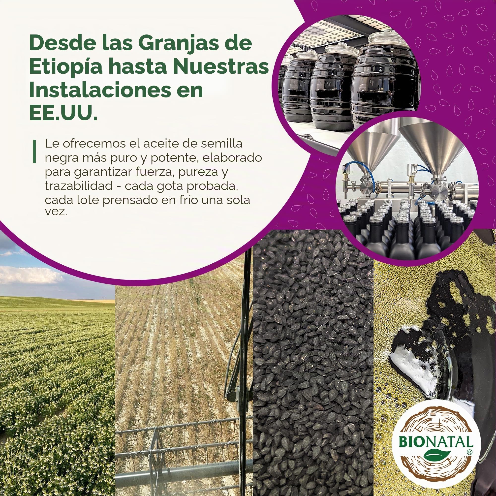Bionatal Aceite de semilla negra etíope 4.34% de timoquinona (TQ), semillas de nigella sativa, aceite de semilla de comino negro sin filtrar, prensado en frío