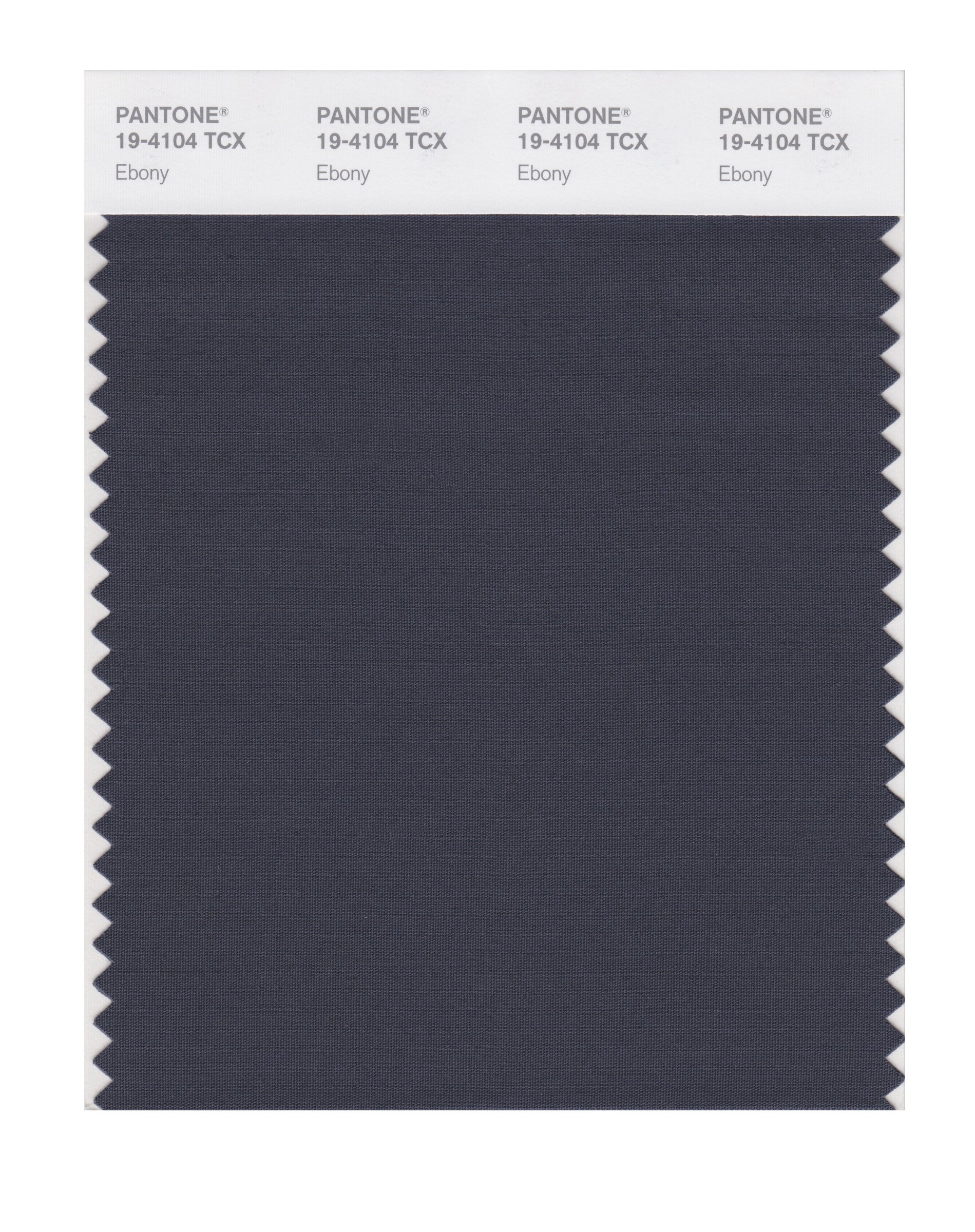 PANTONE SMART 19-4104X Color Swatch Card, Ebony - House Paint