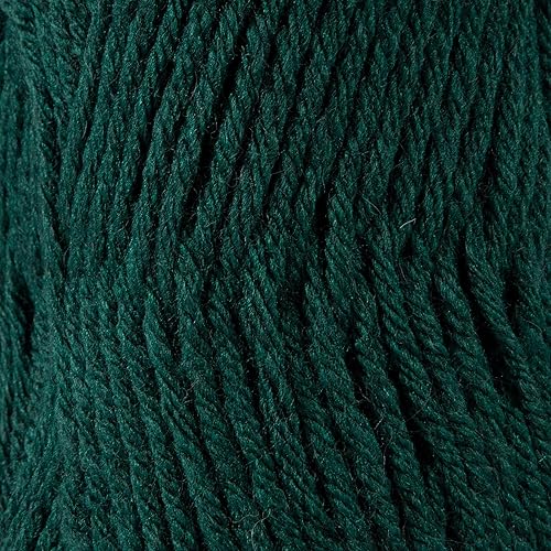 Vista 49 de 3 madejas de hilo Sensy Roving, 3.5 onzas, 132 yardas, calibre 5 voluminoso (Lily Pad)