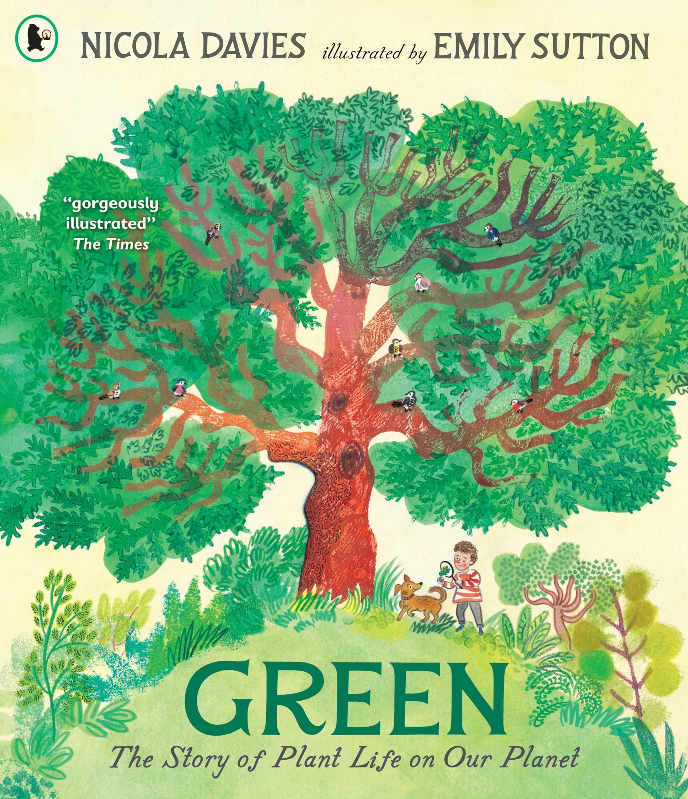 Green: The Story of Plant Life on Our Planet. Davies, Nicola-Nicola-Davies,**