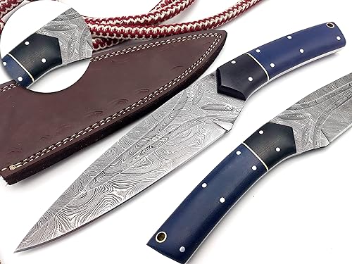 Nooraki BK-69 Cuchillo de acero de Damasco hecho a mano para cazar 11 cuchillos - Hermoso mango de hueso de madera de rosa y cuerno de toro