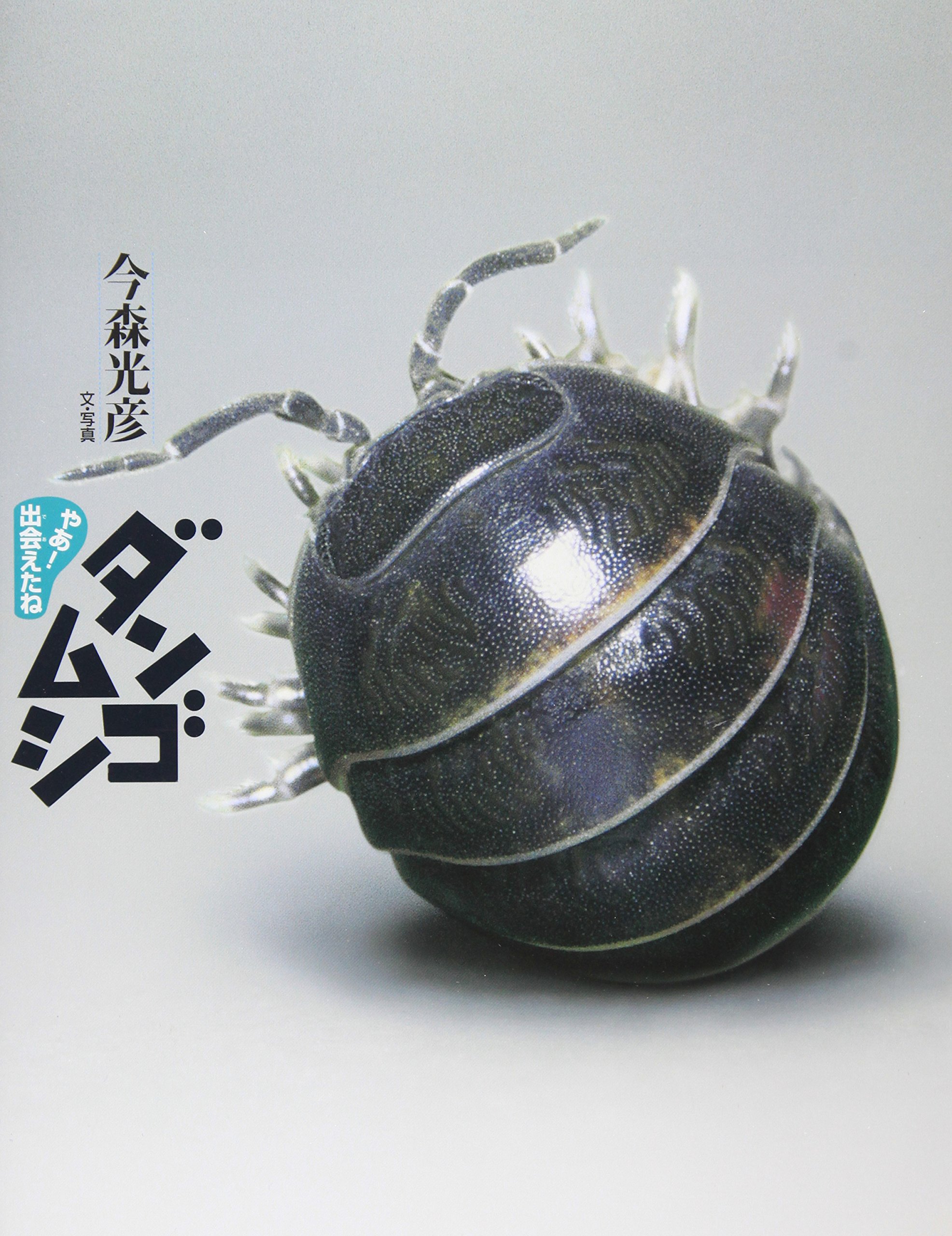 ダンゴムシ 91ysq0amRuL.jpg