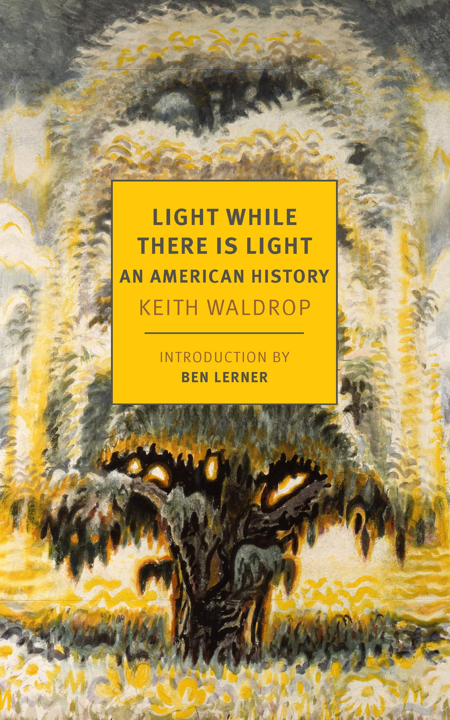 Light While There is Light An American History by Keith Waldrop (Paperback Book)