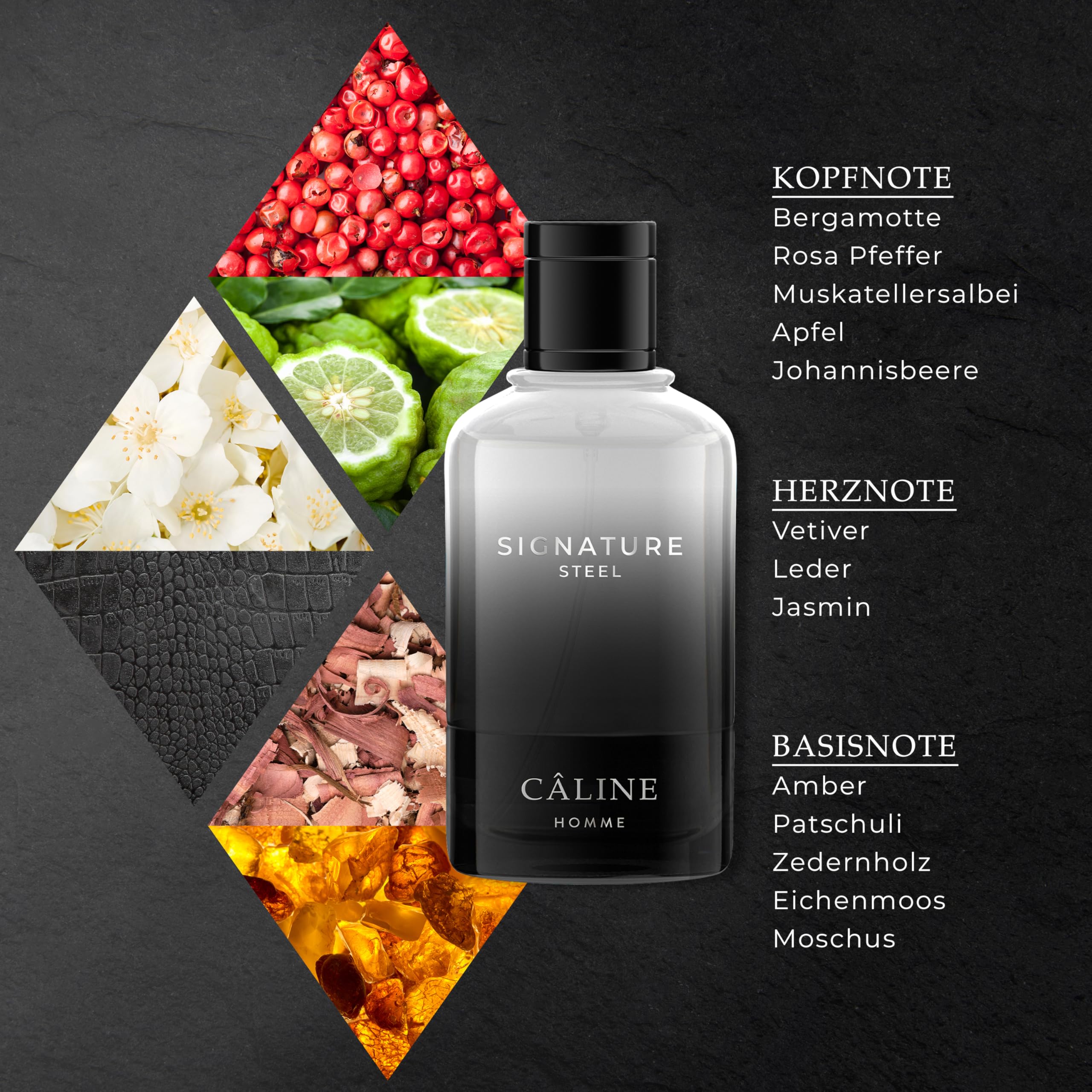 signature steel EdT 60 ml